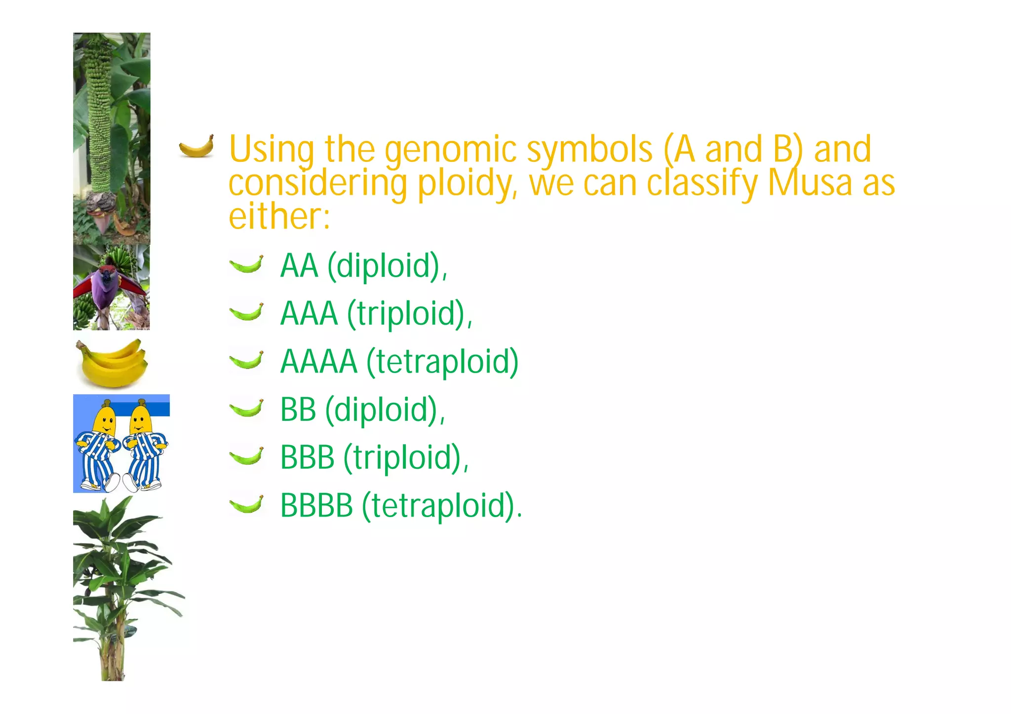 Slide 20