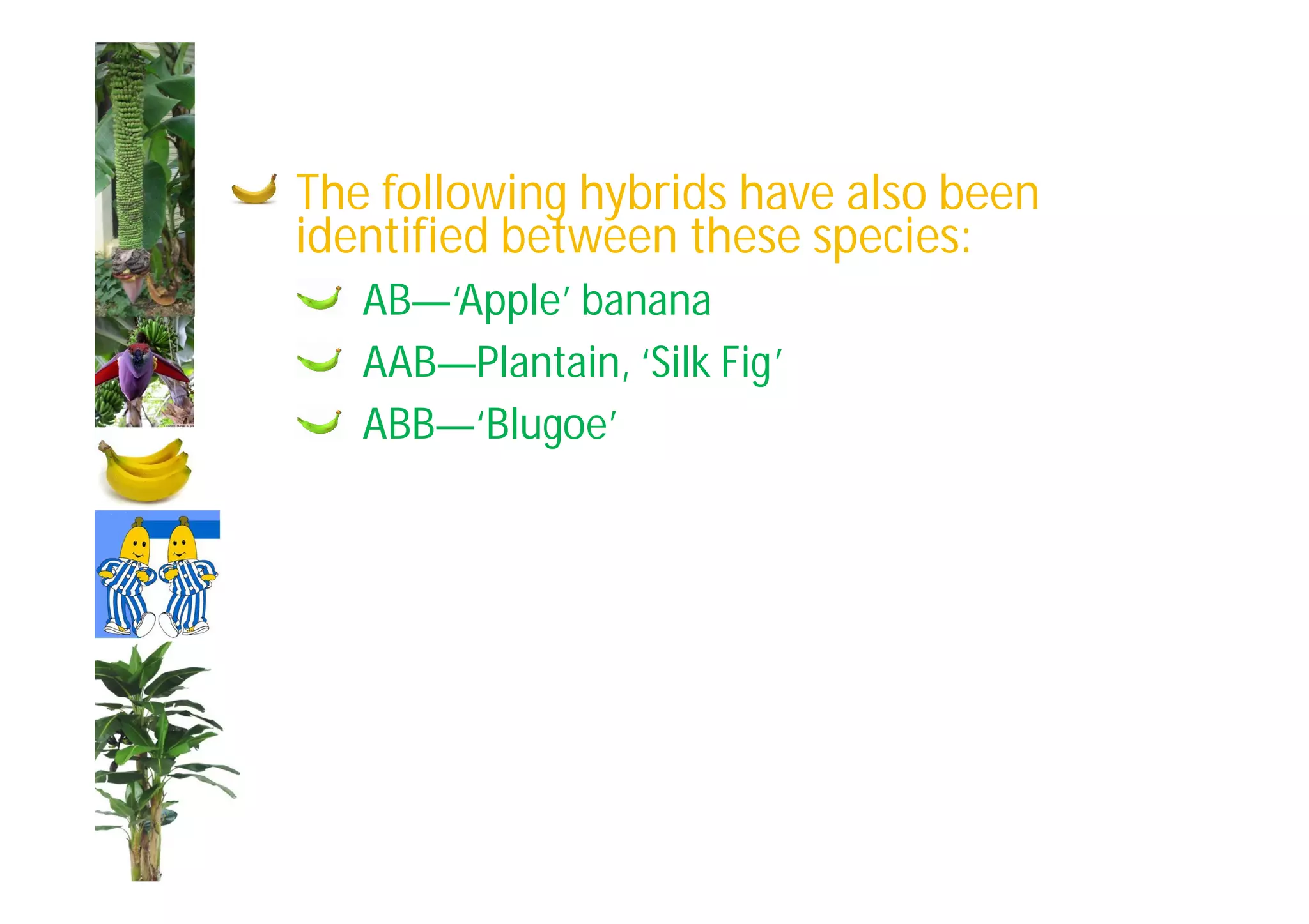 Slide 21