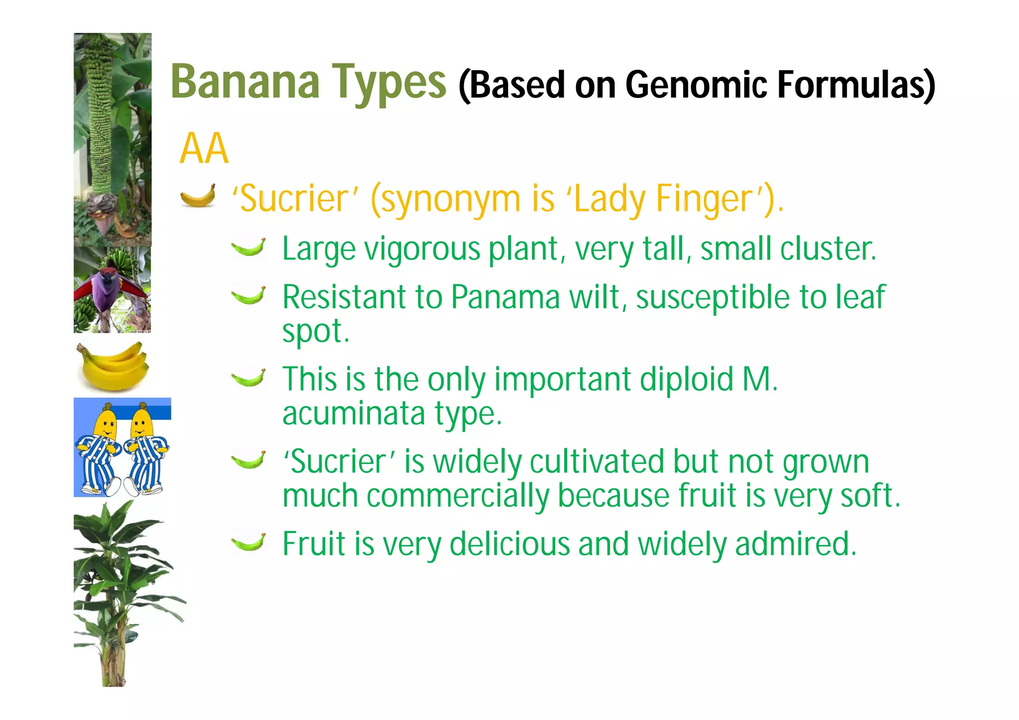 Slide 22