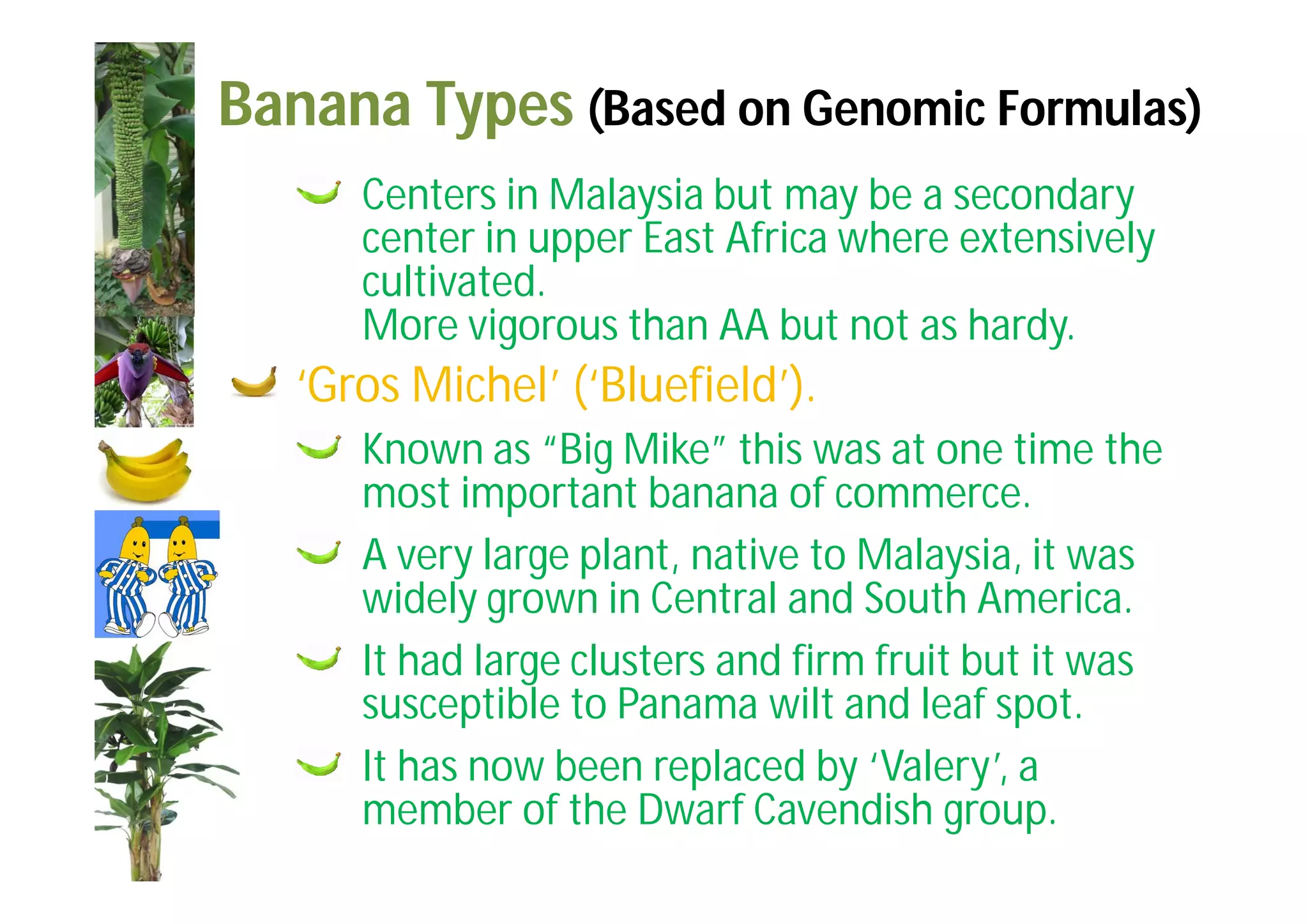 Slide 23