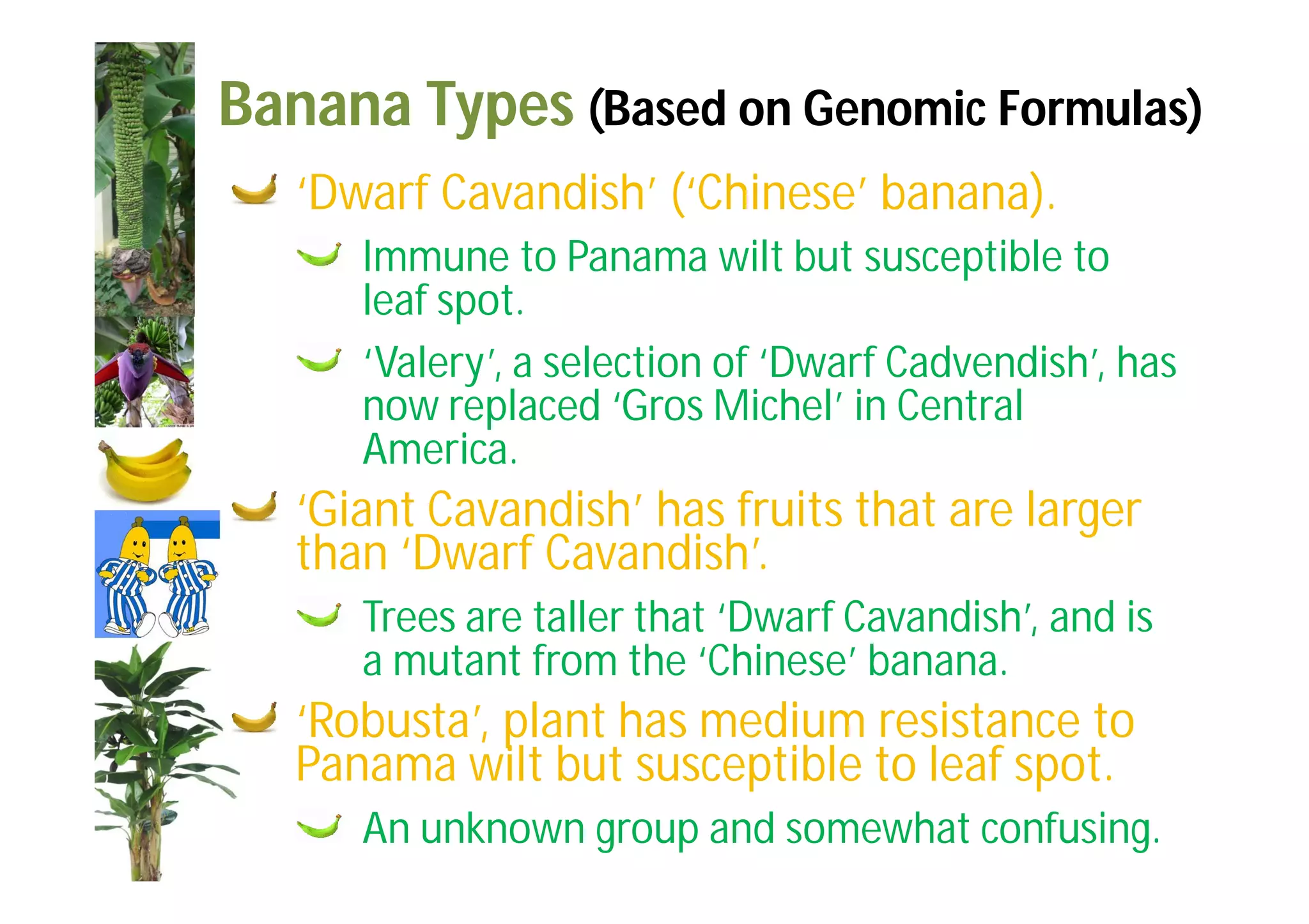 Slide 24