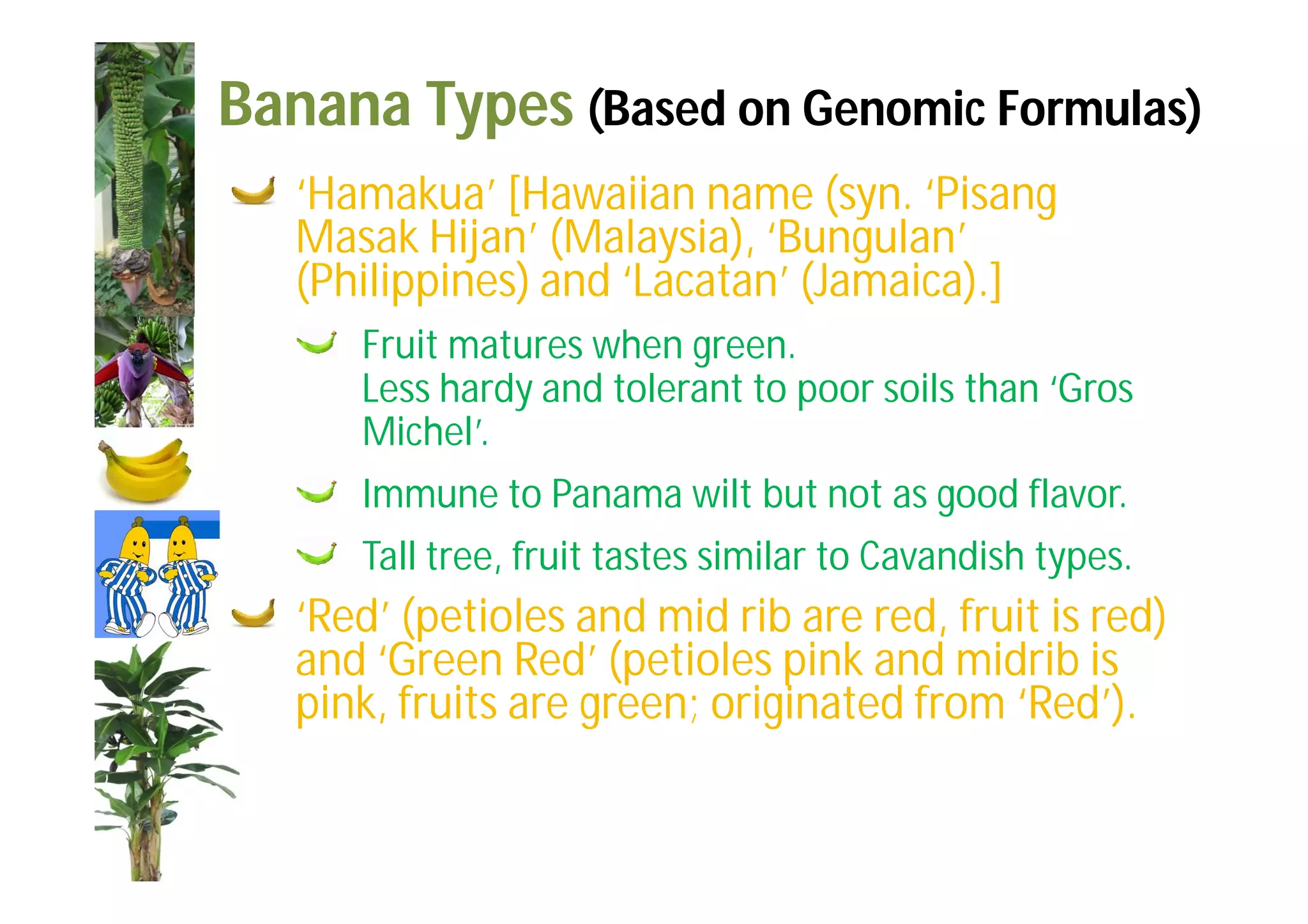 Slide 25