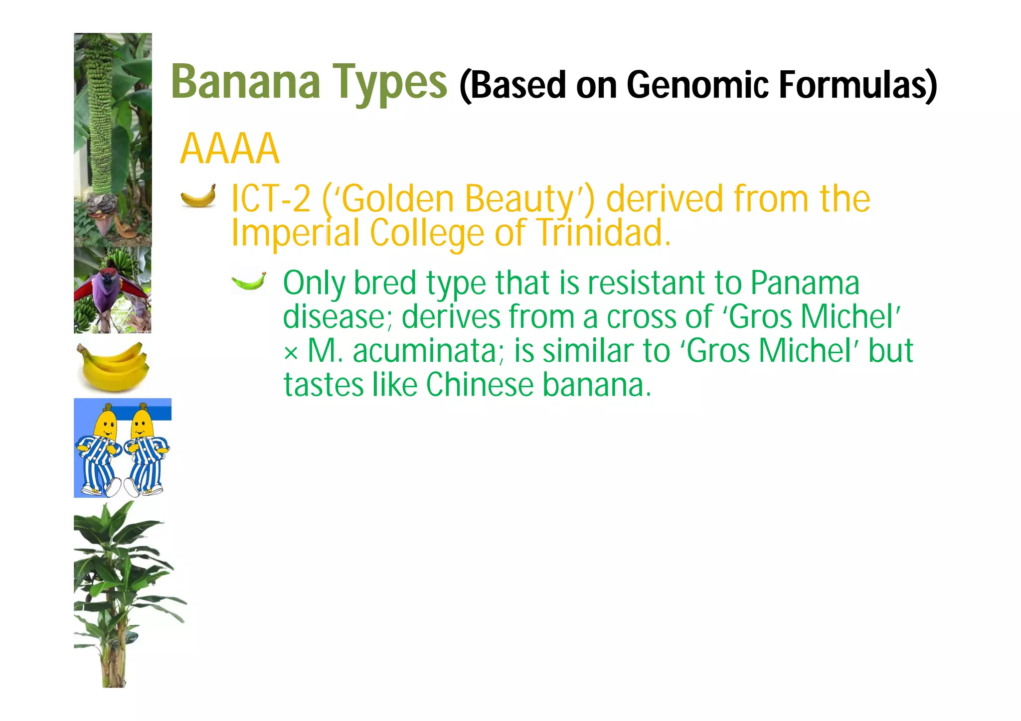 Slide 26