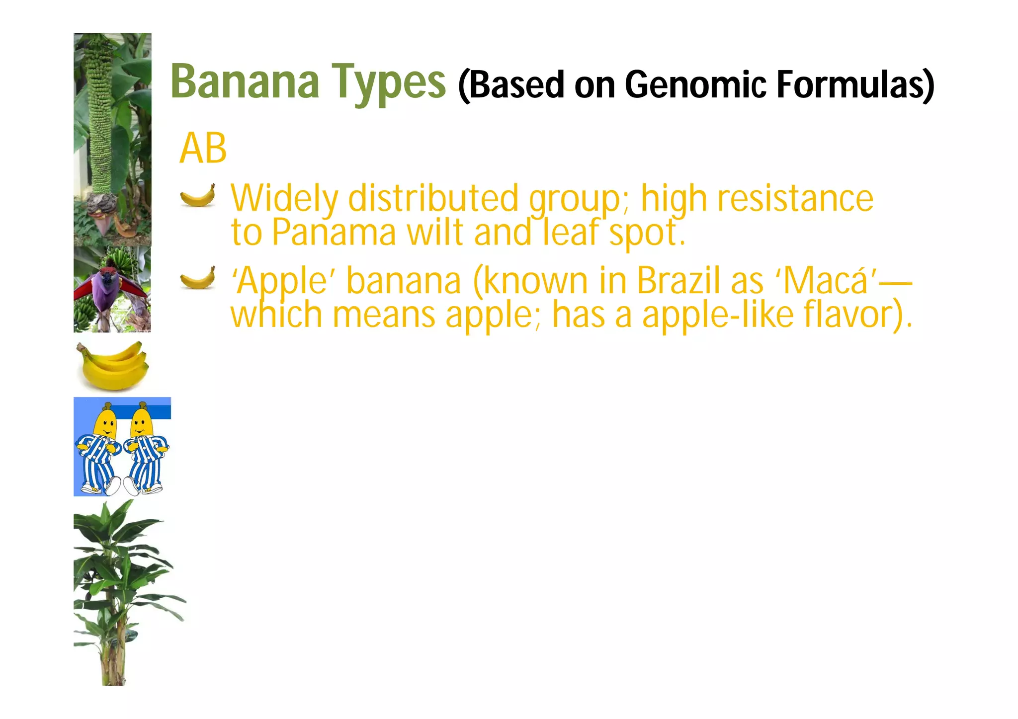 Slide 27