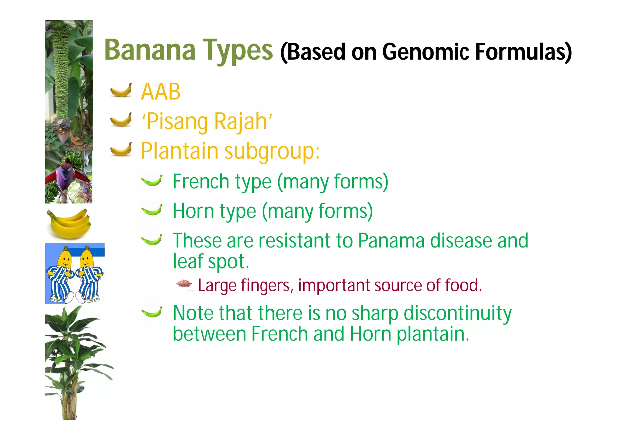 Slide 28