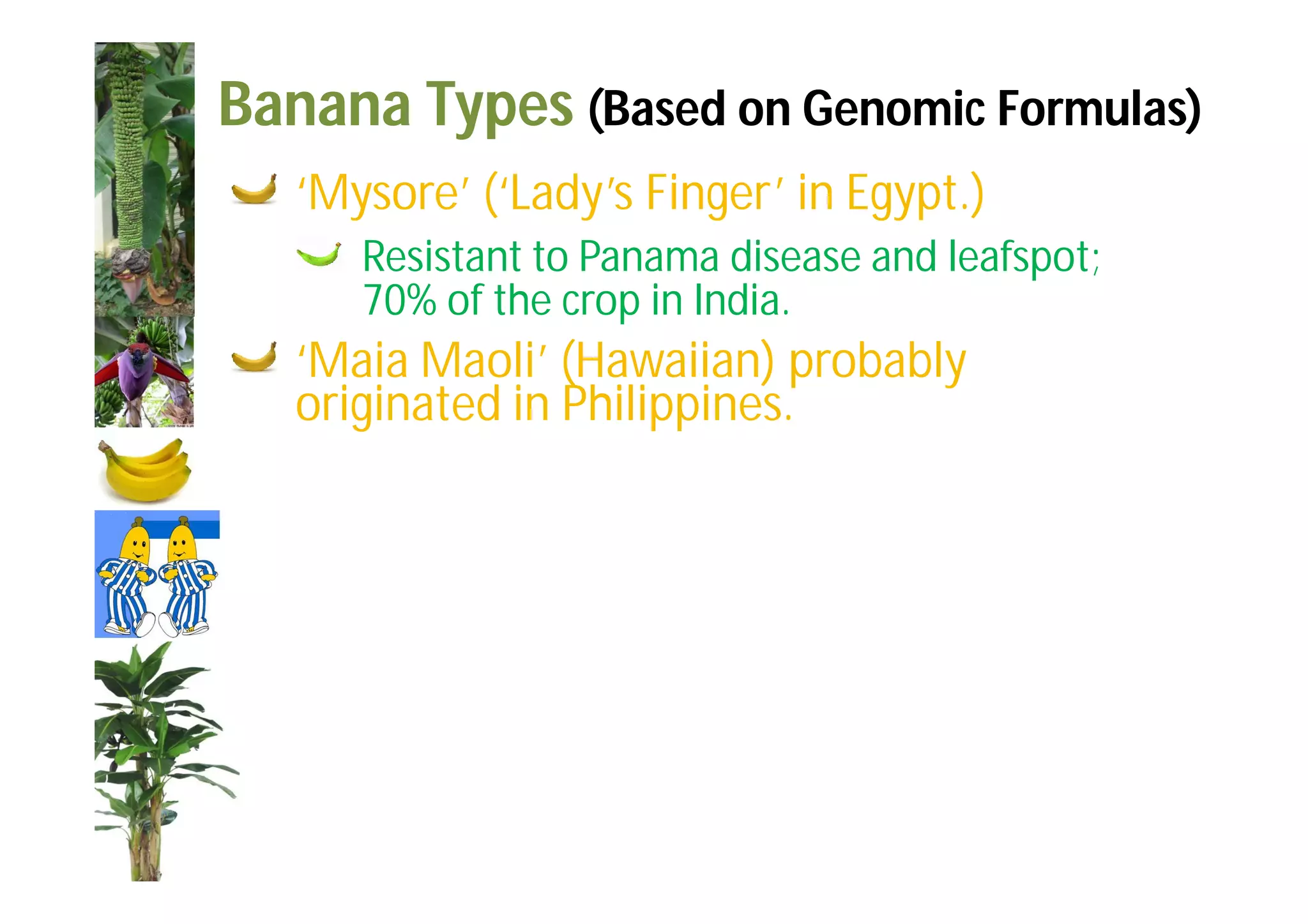 Slide 29