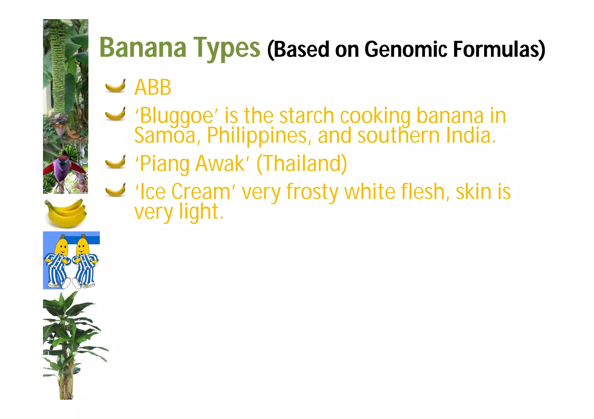 Slide 30