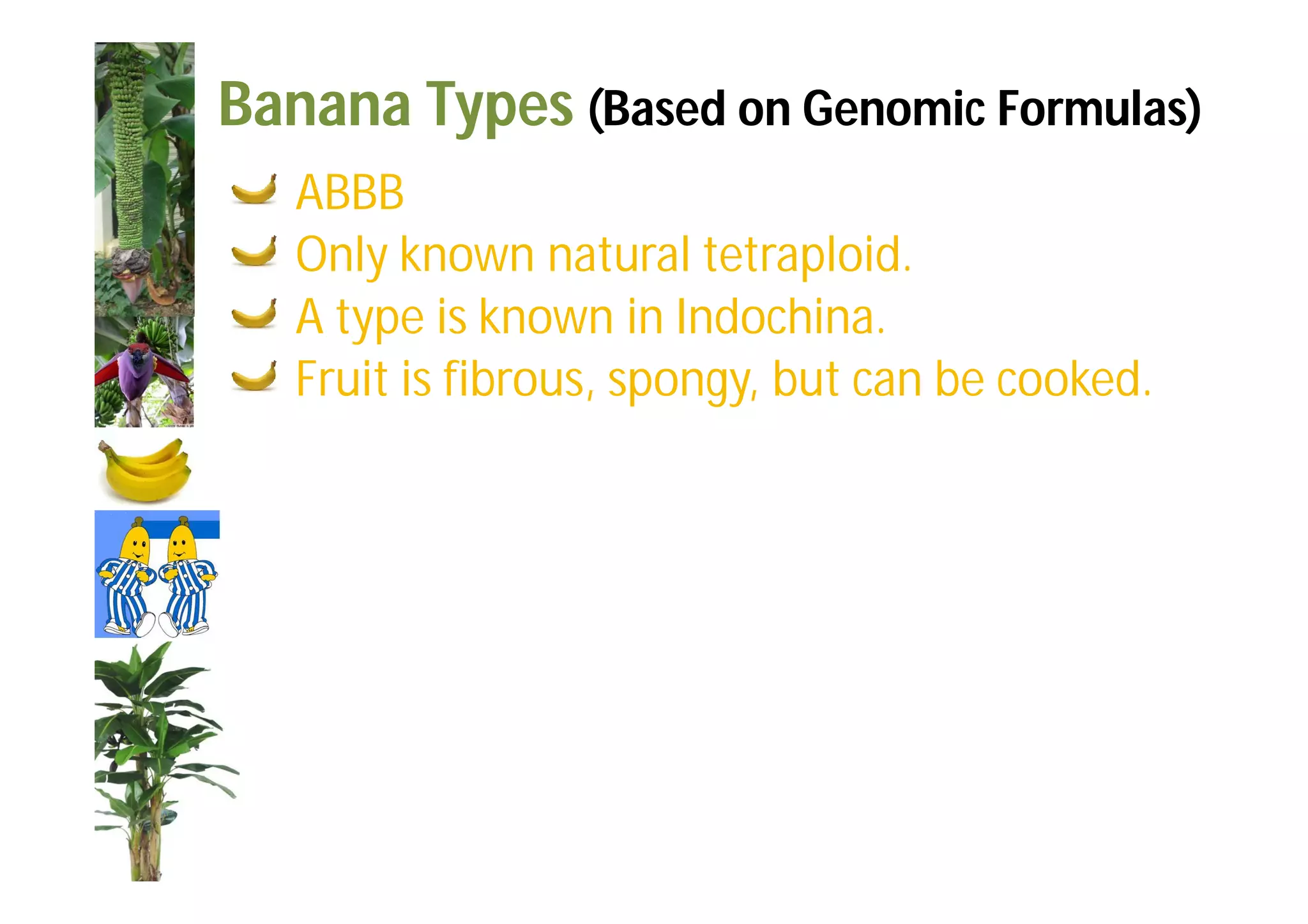 Slide 31