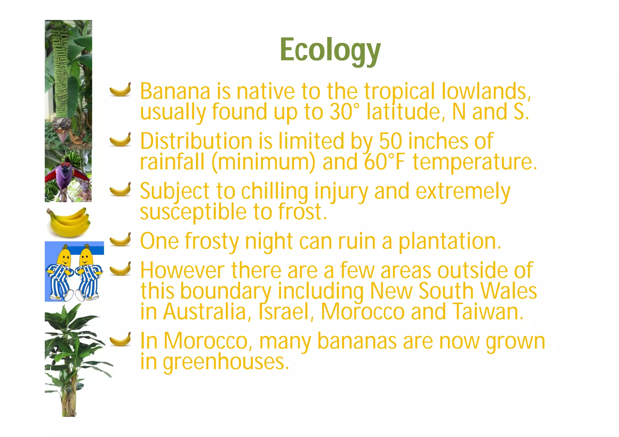 Slide 33