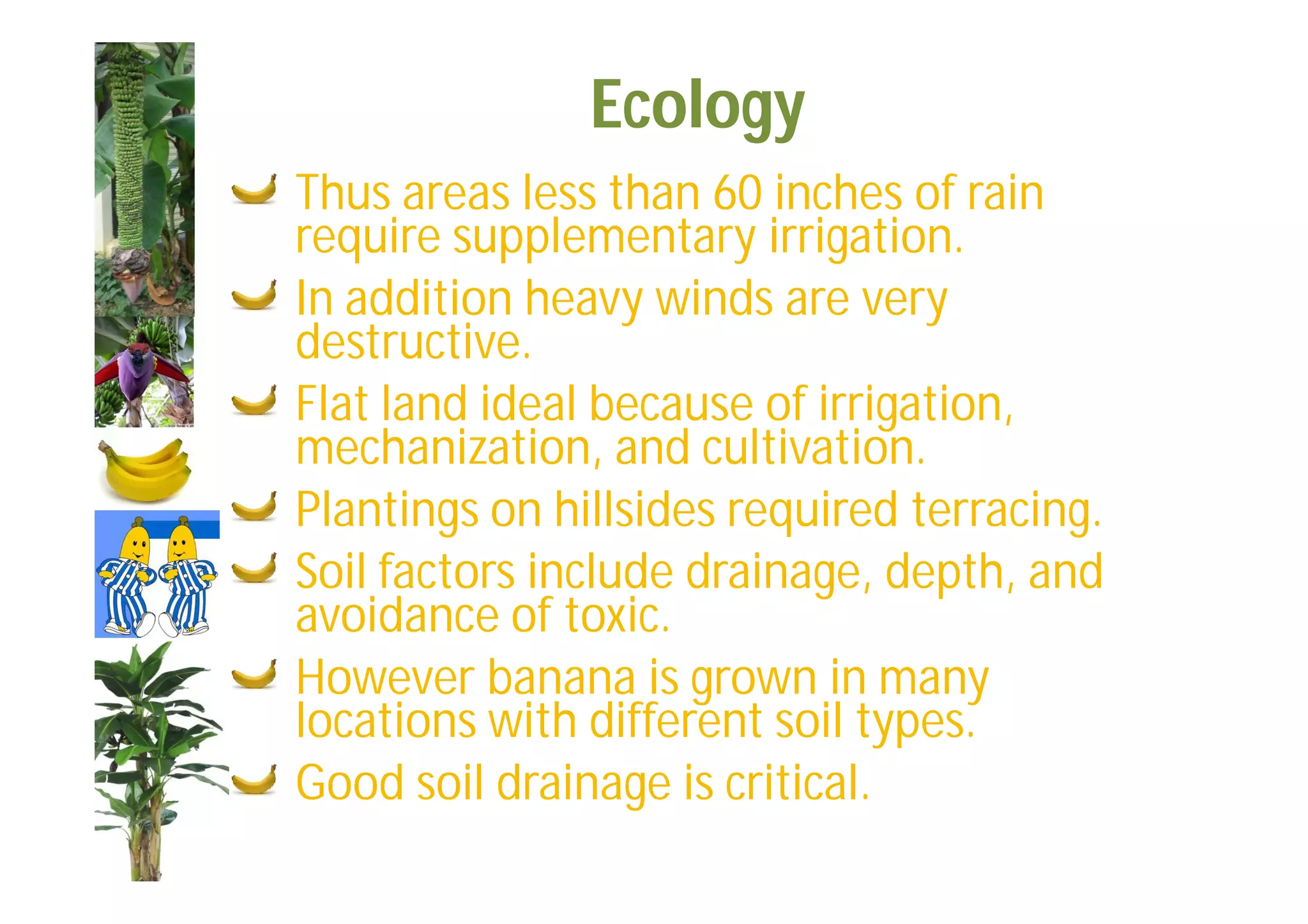 Slide 35