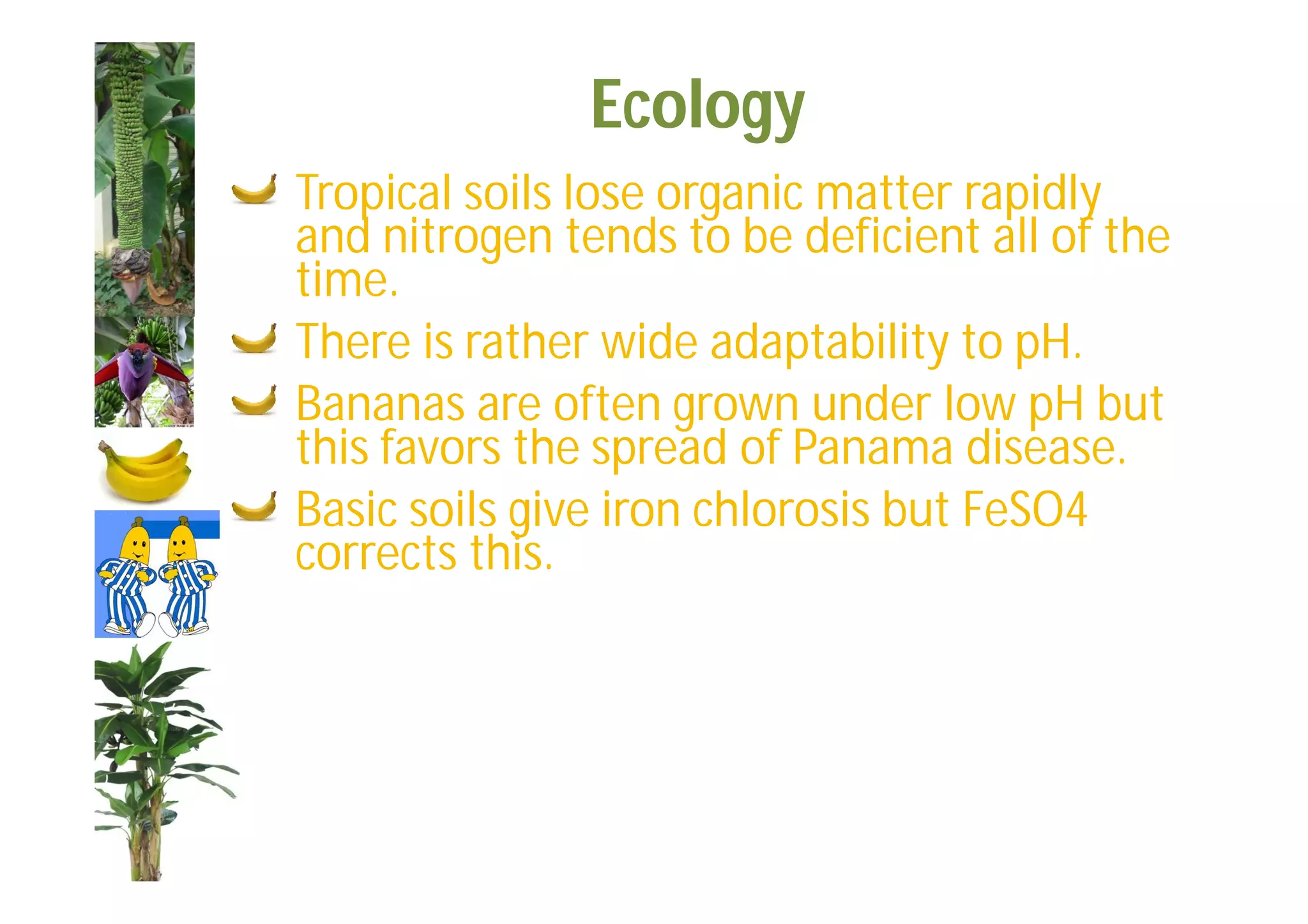 Slide 36