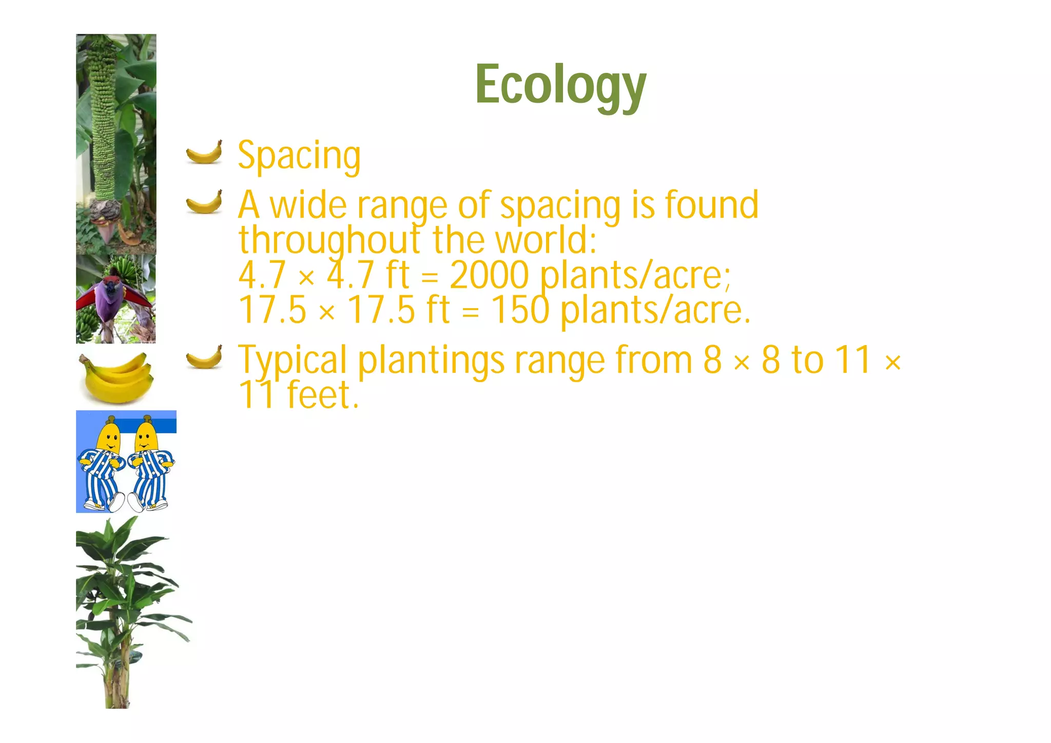 Slide 37