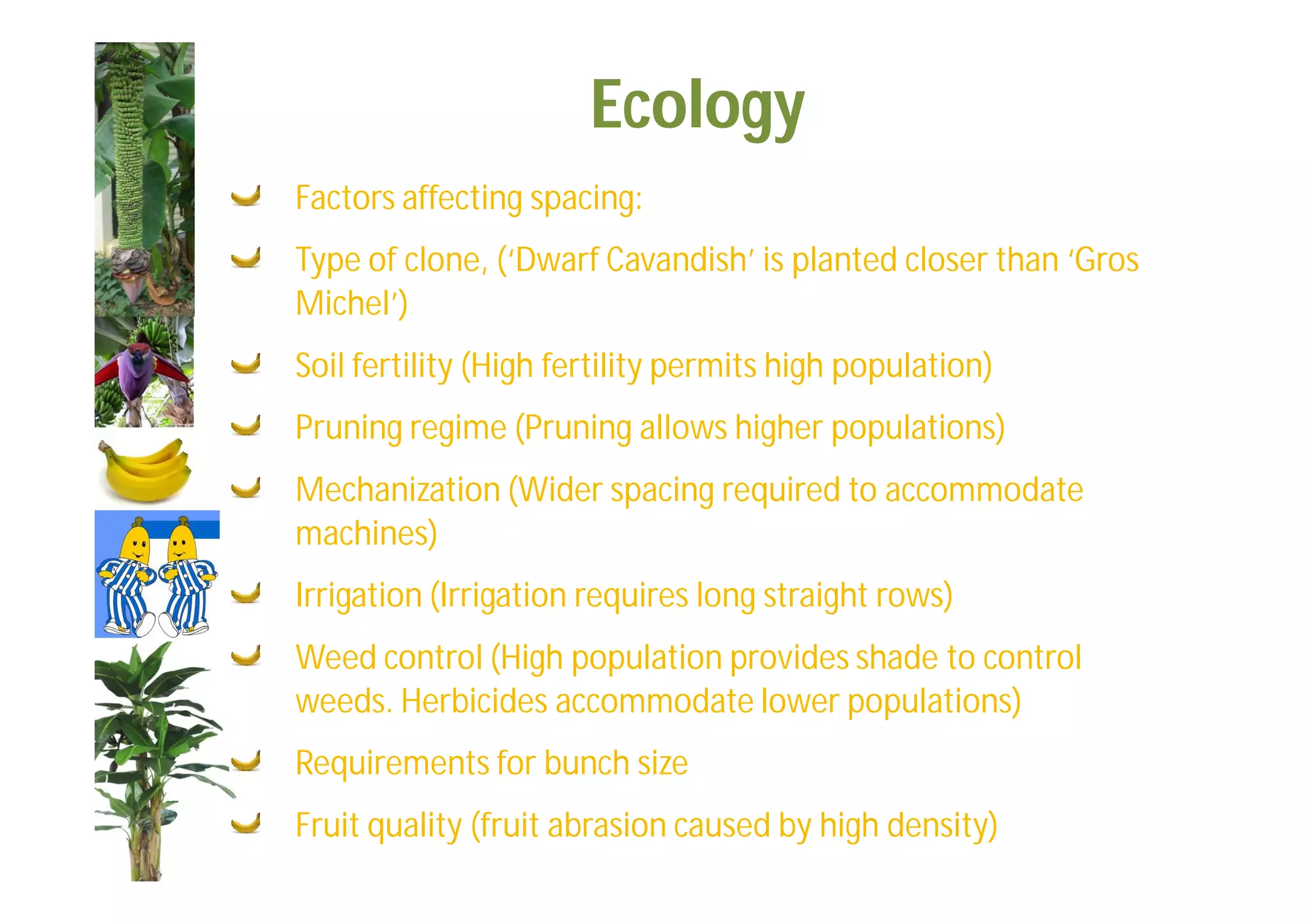Slide 38