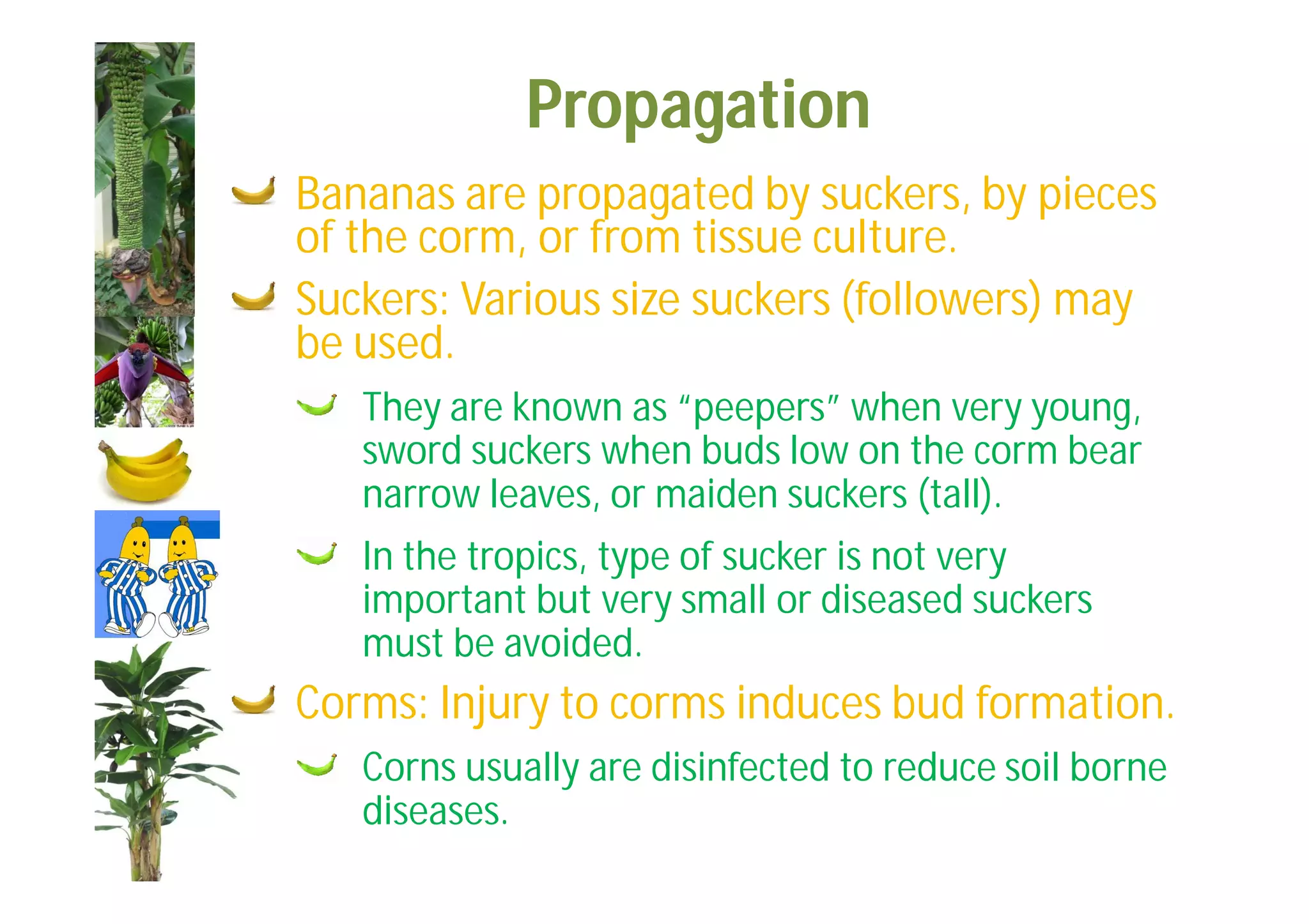 Slide 39