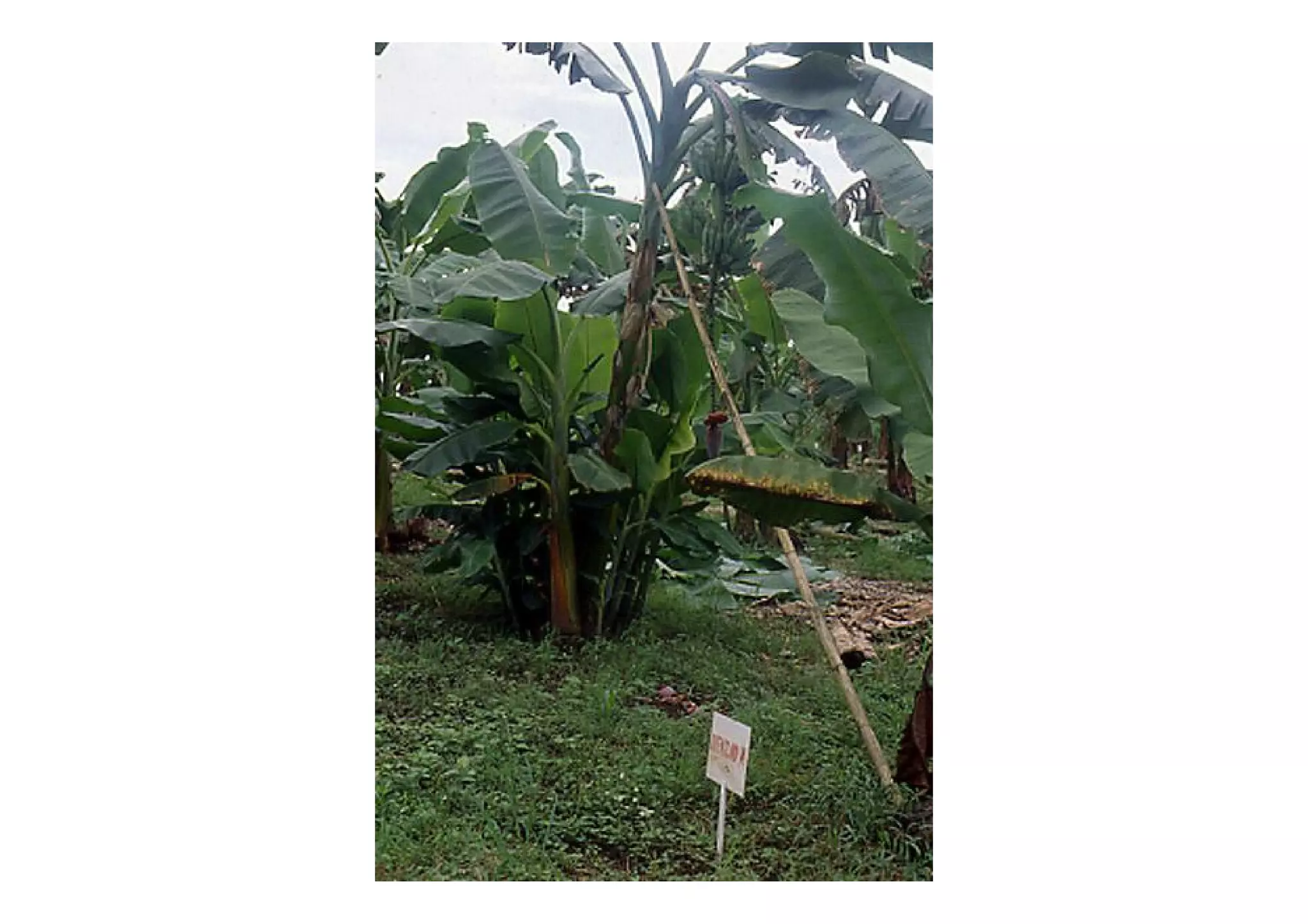 Slide 40