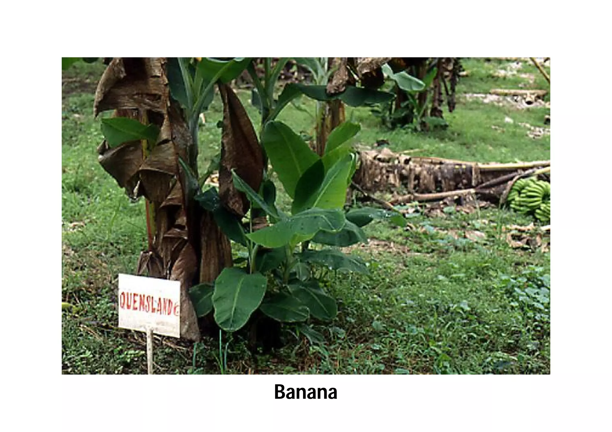 Slide 41