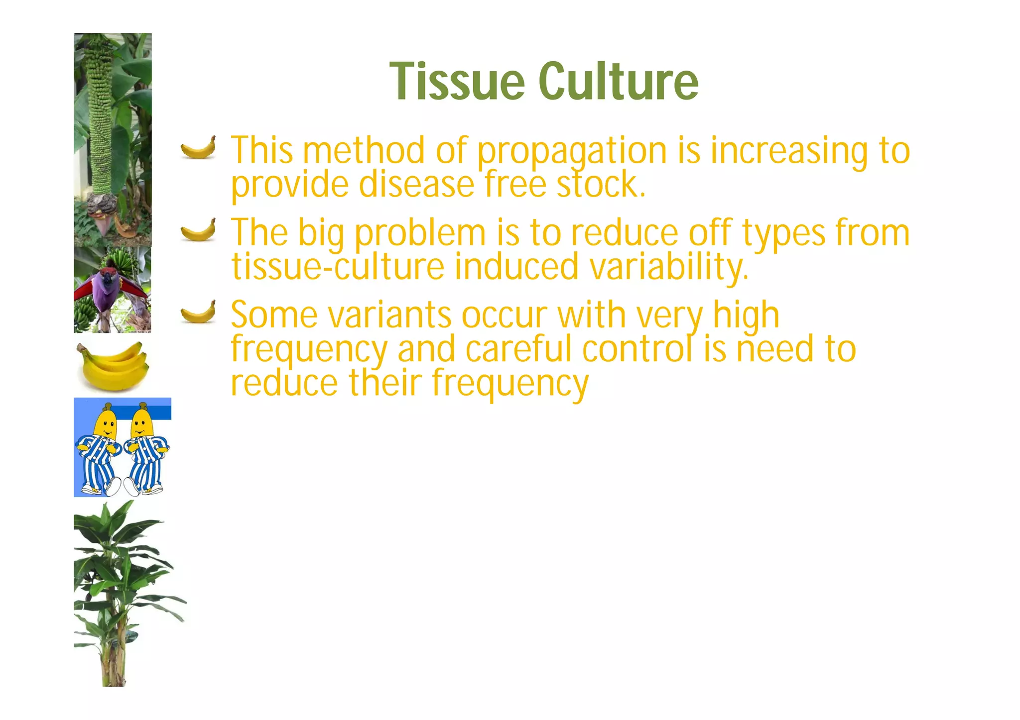 Slide 42
