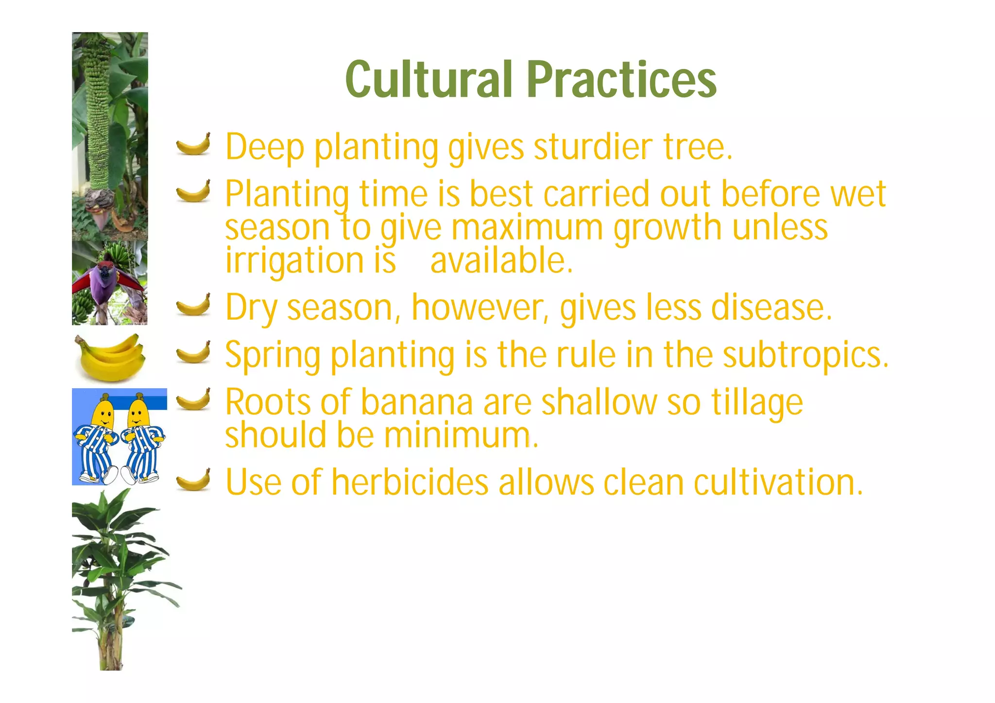 Slide 43