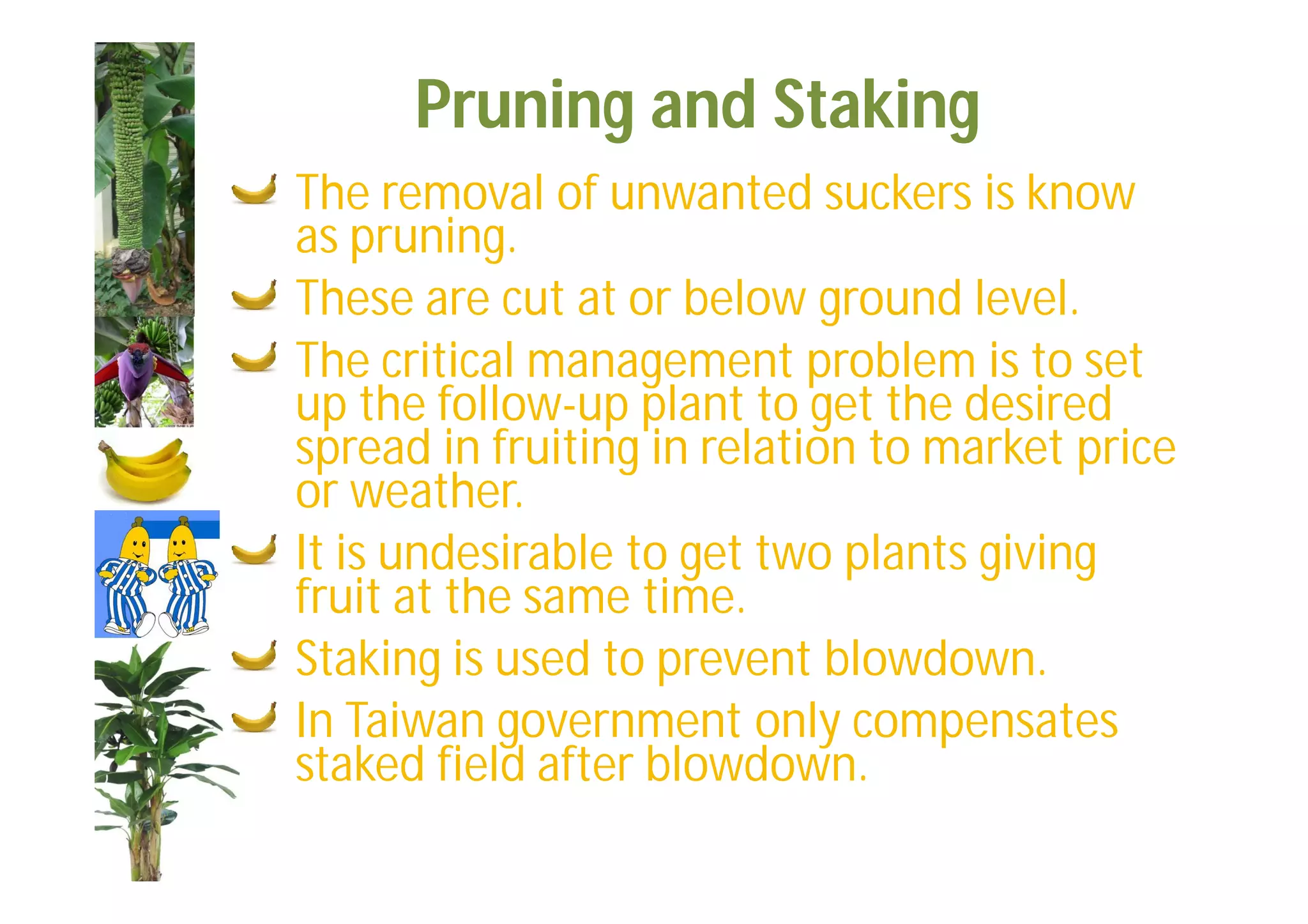 Slide 44