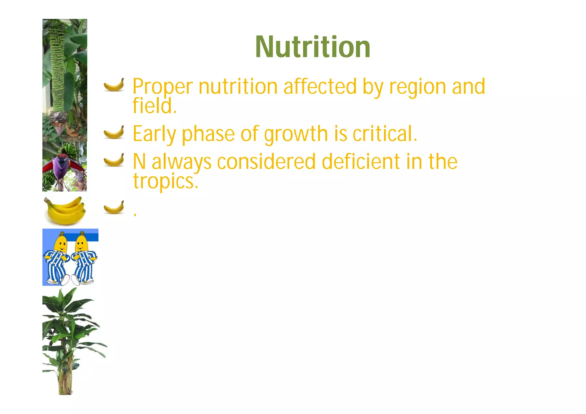Slide 46