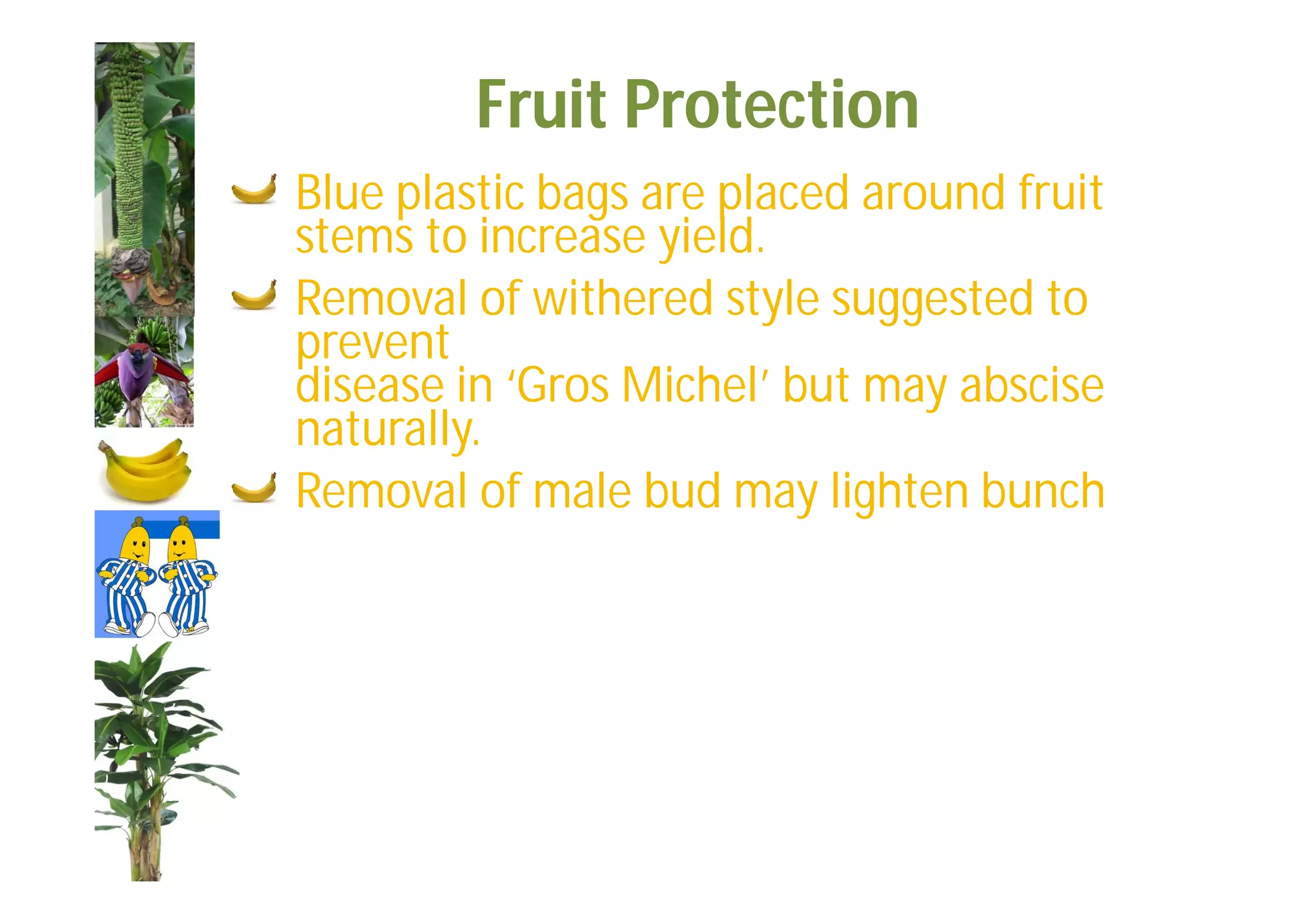 Slide 47