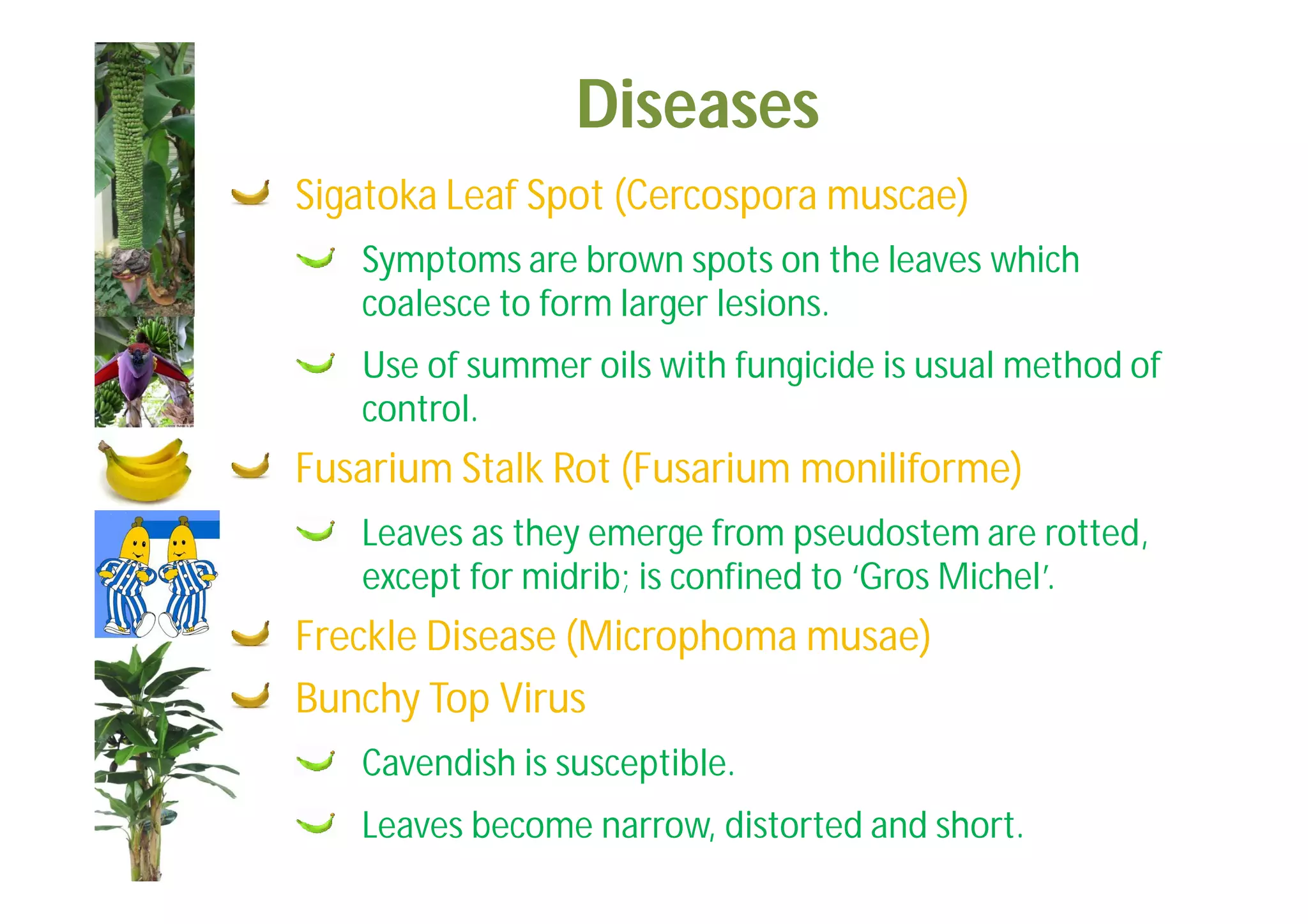 Slide 49