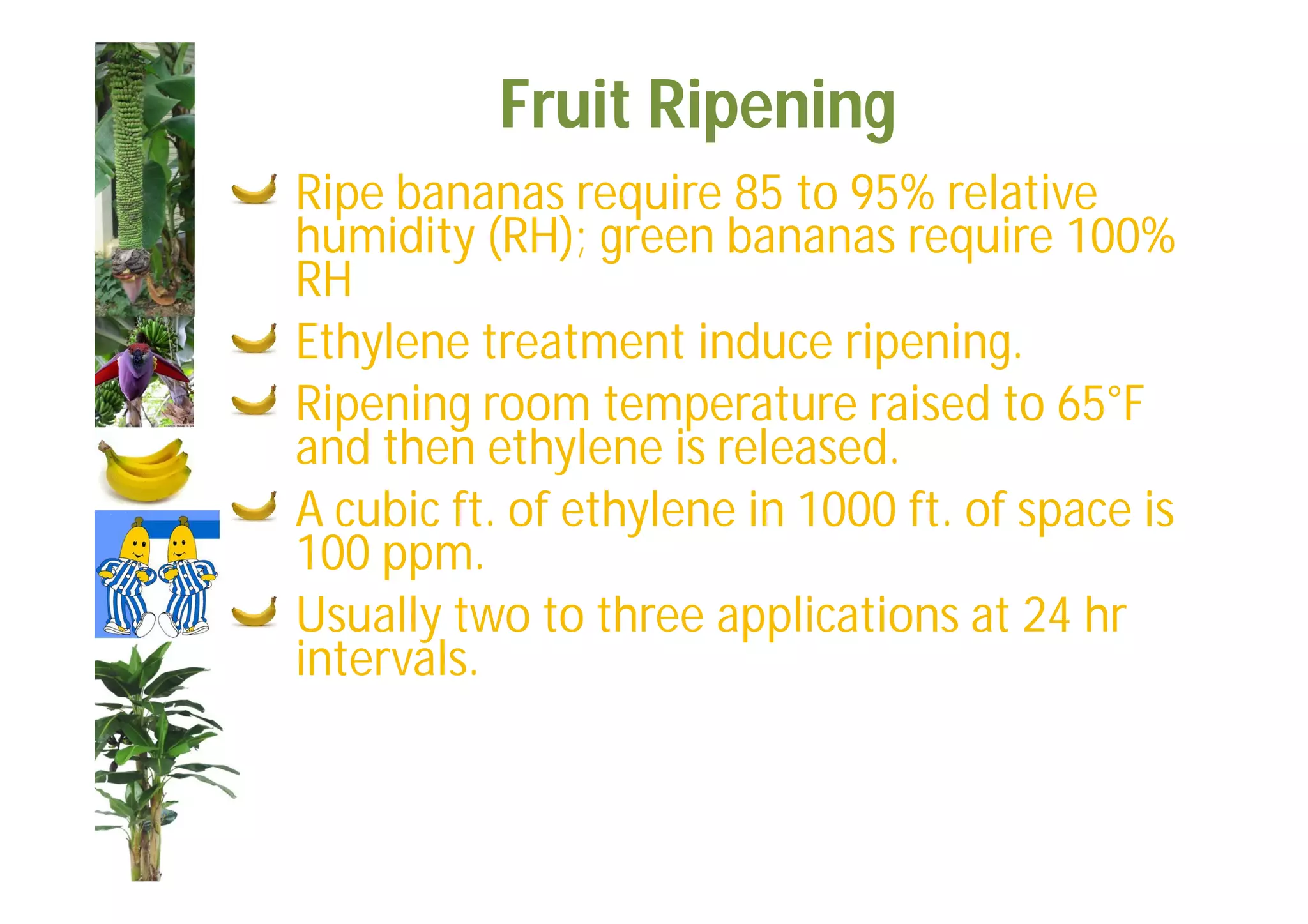 Slide 52