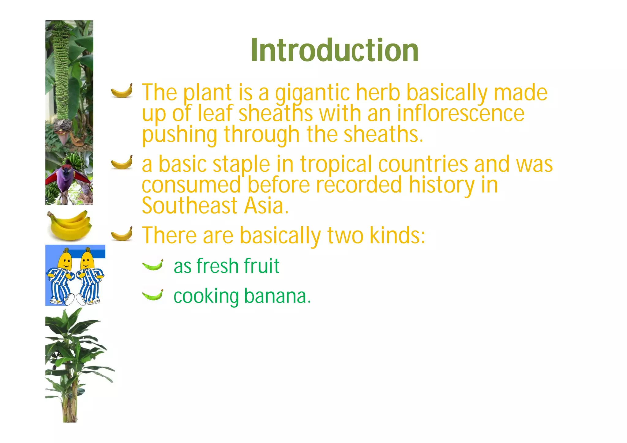 Slide 5