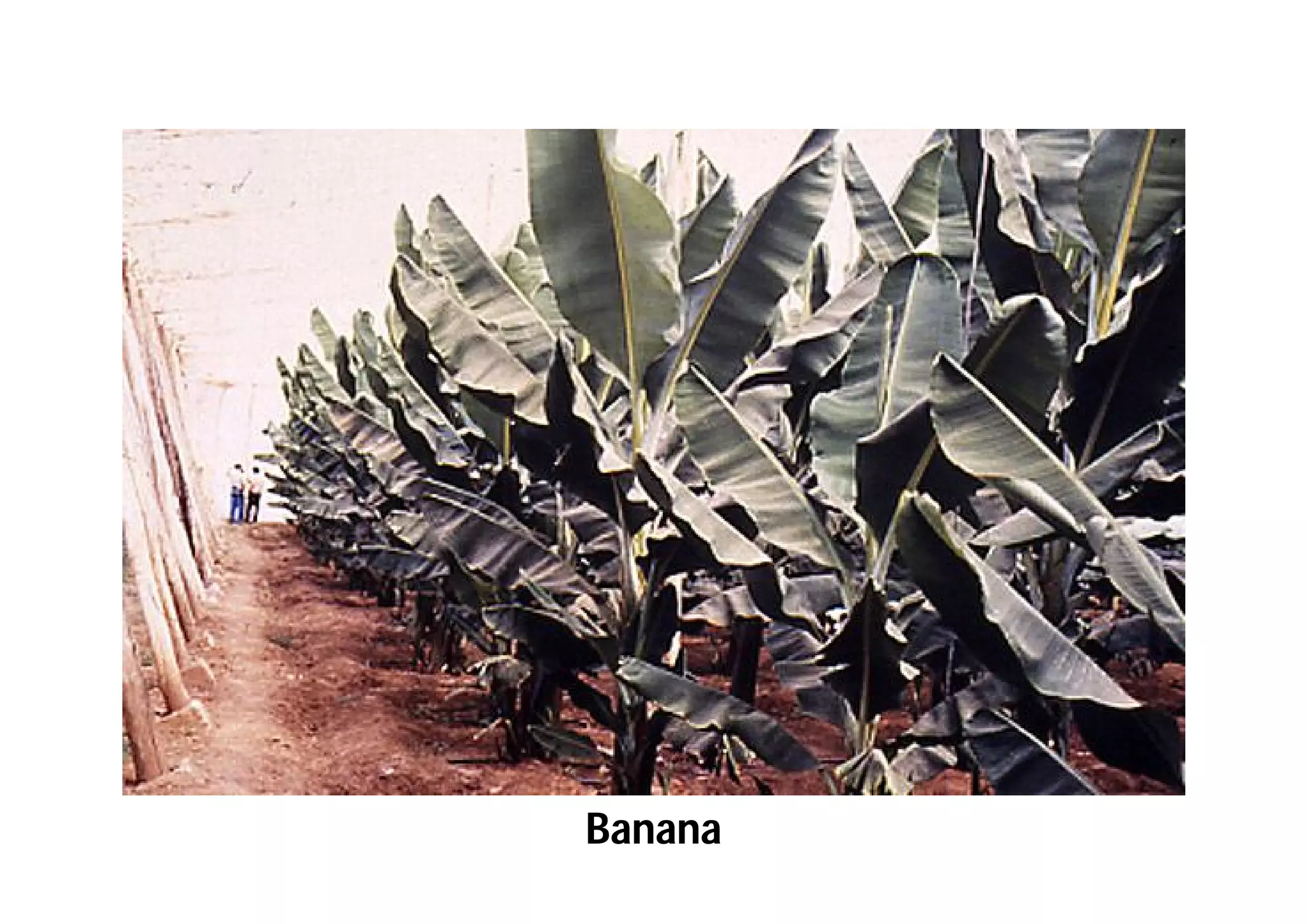 Slide 60
