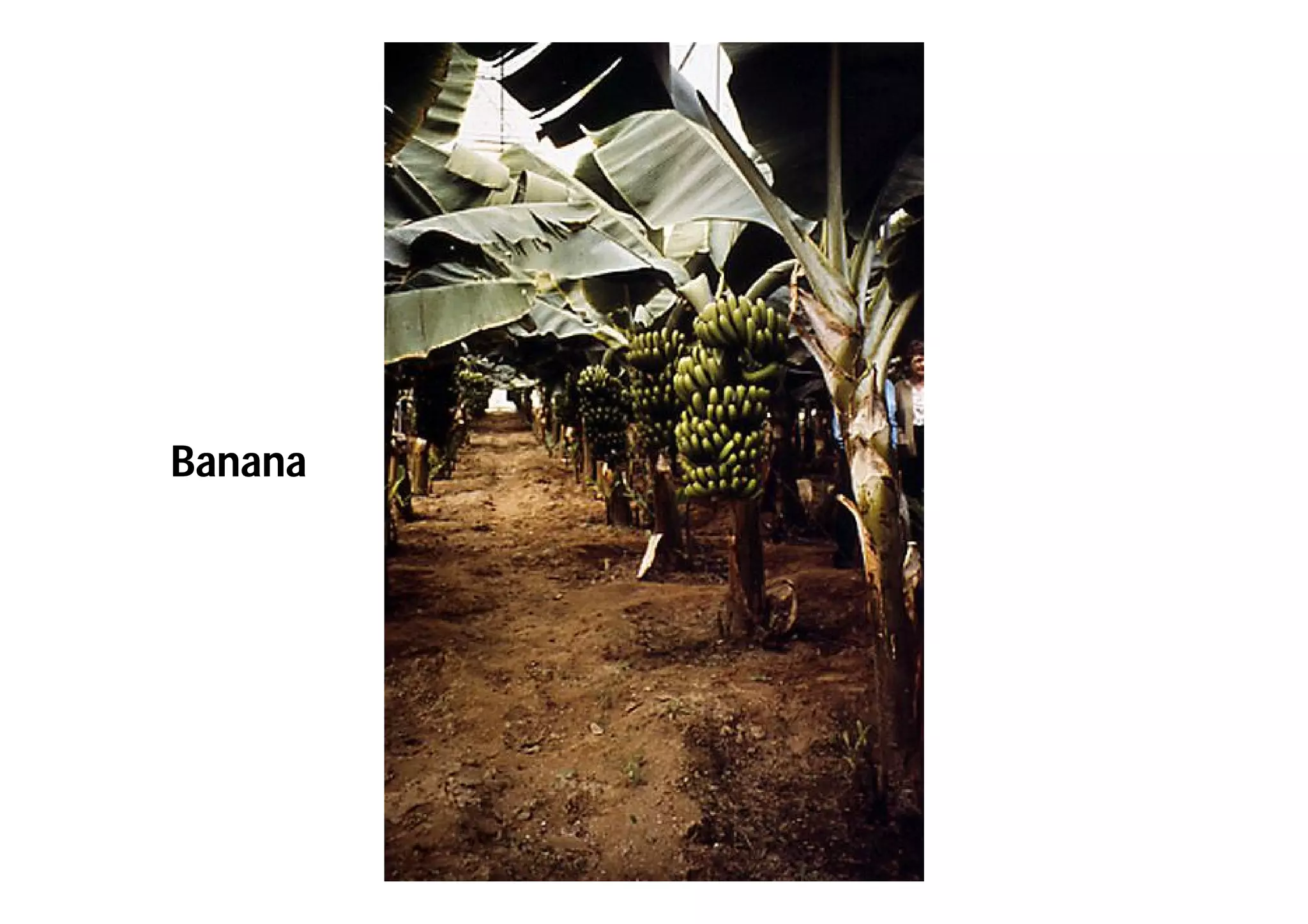 Slide 61