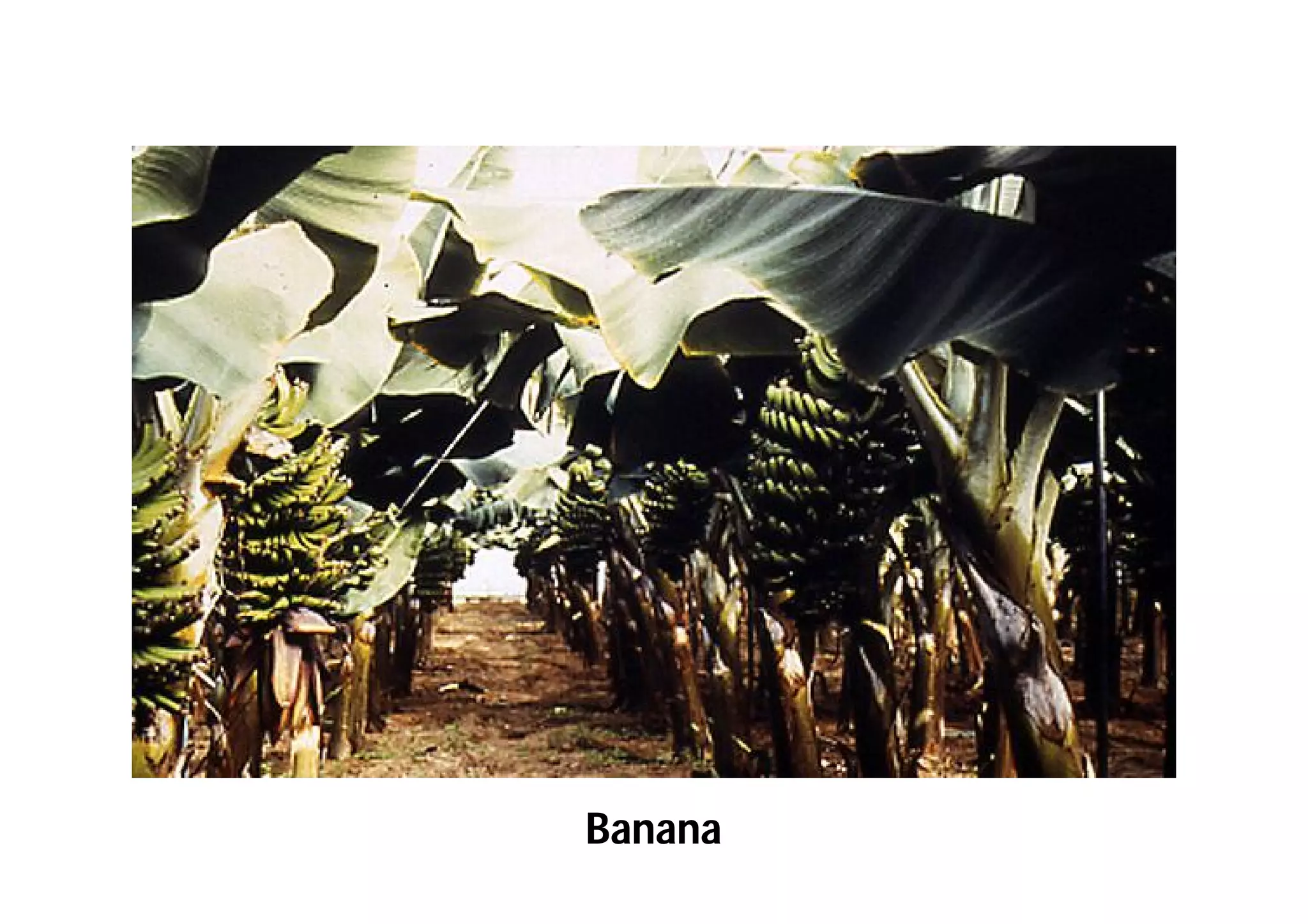 Slide 63