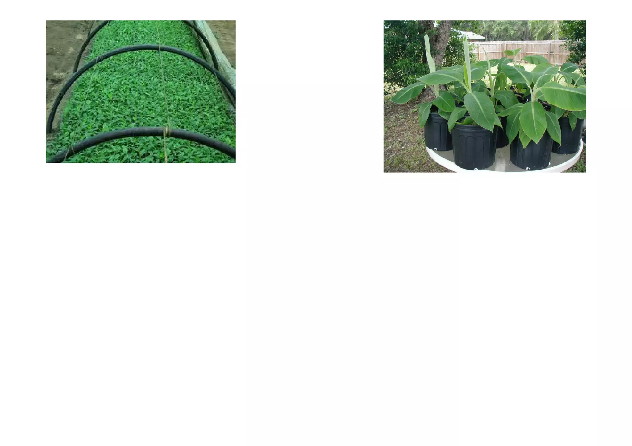 Slide 65