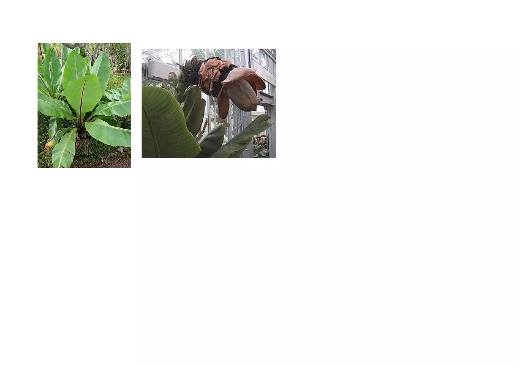Slide 66