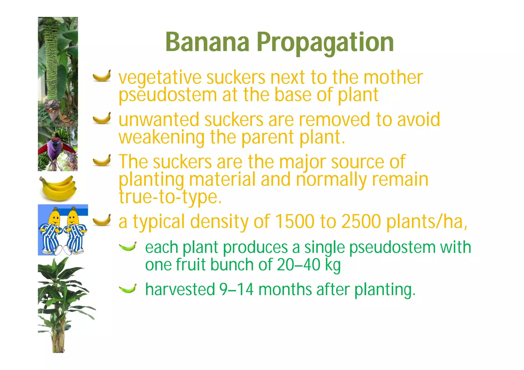Slide 6