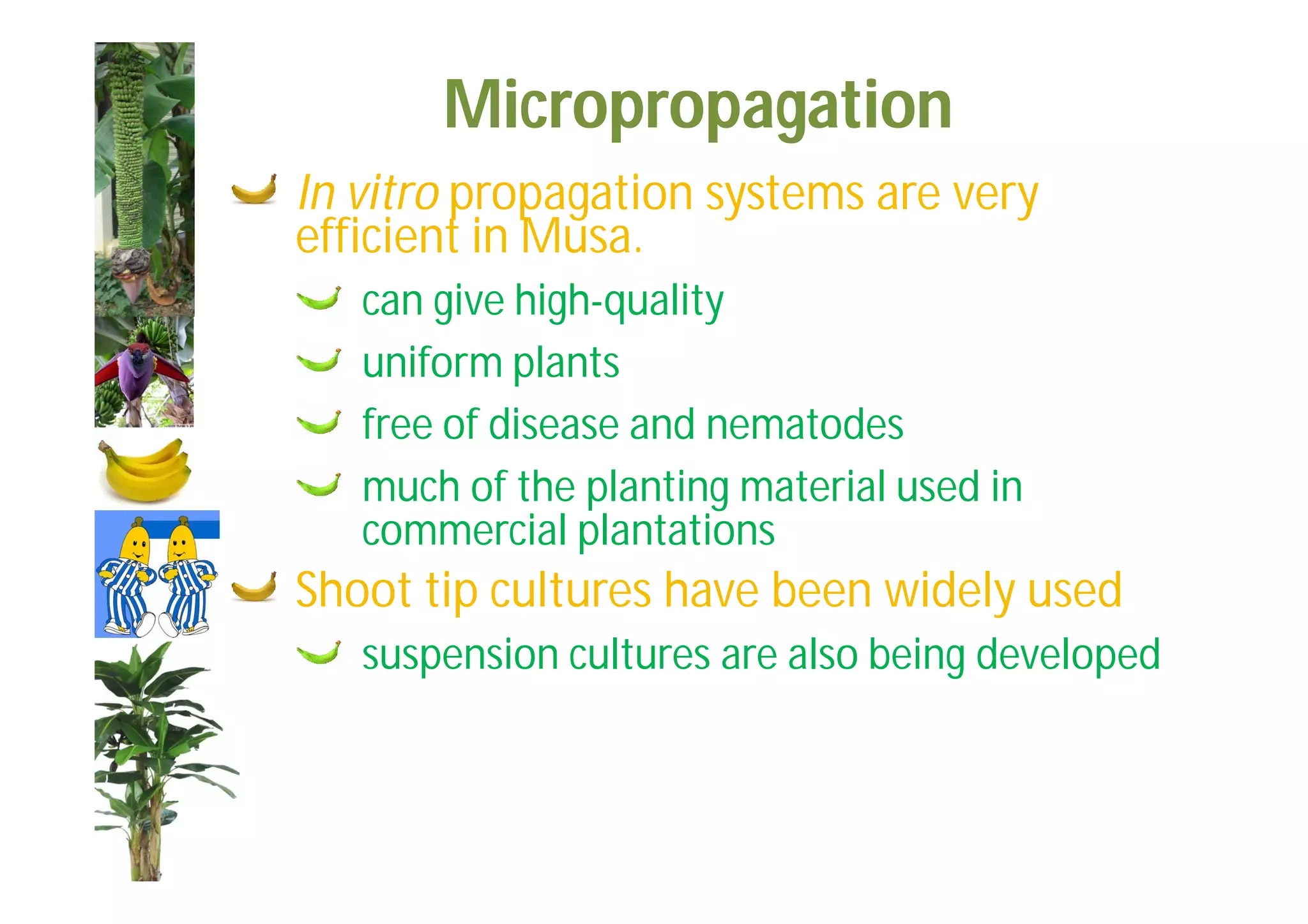Slide 7