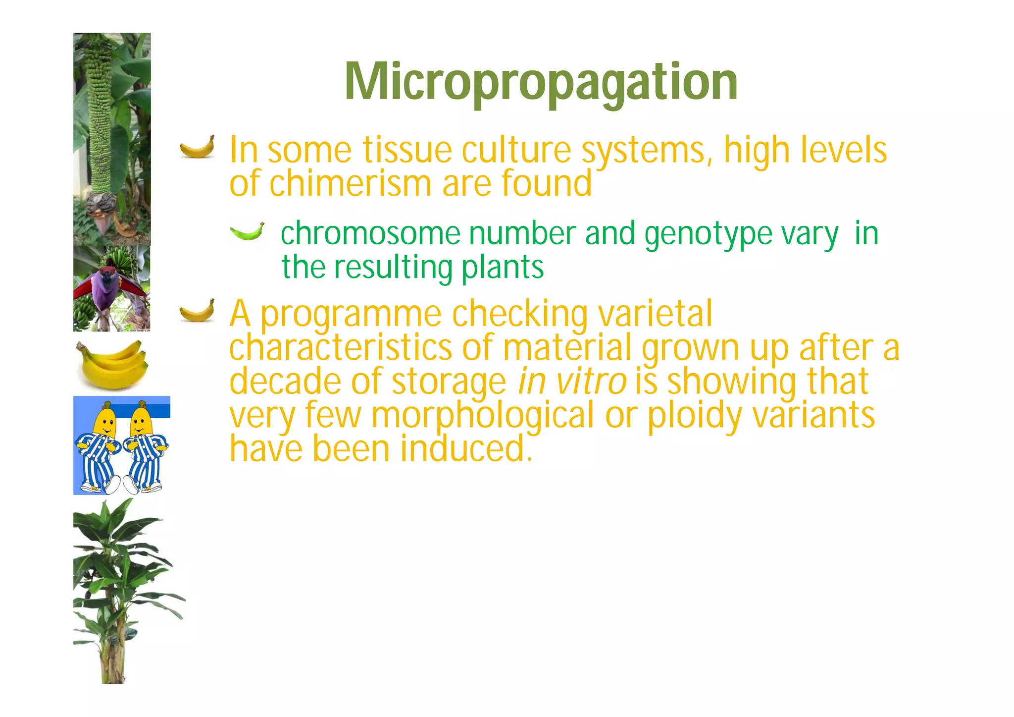 Slide 8