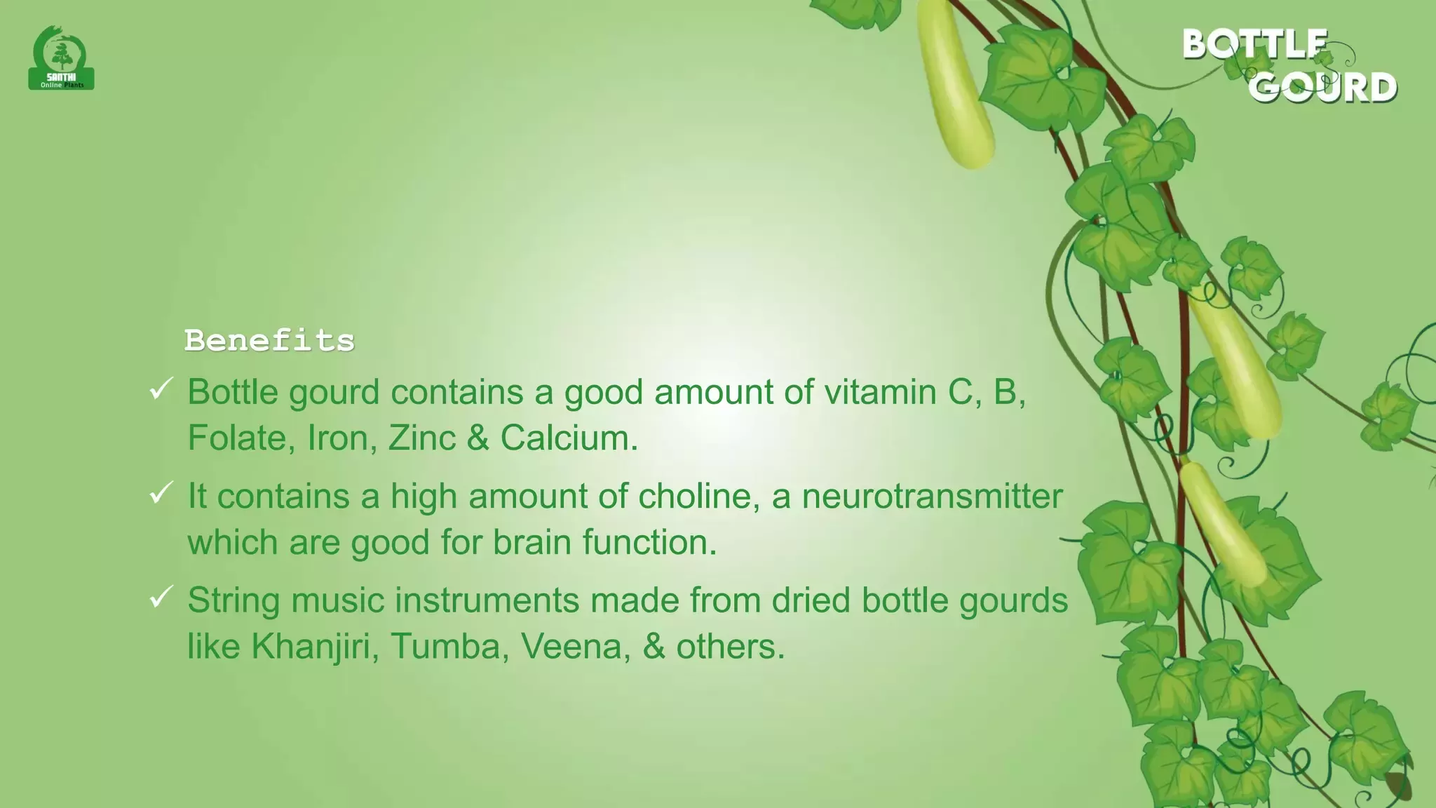 Slide 12