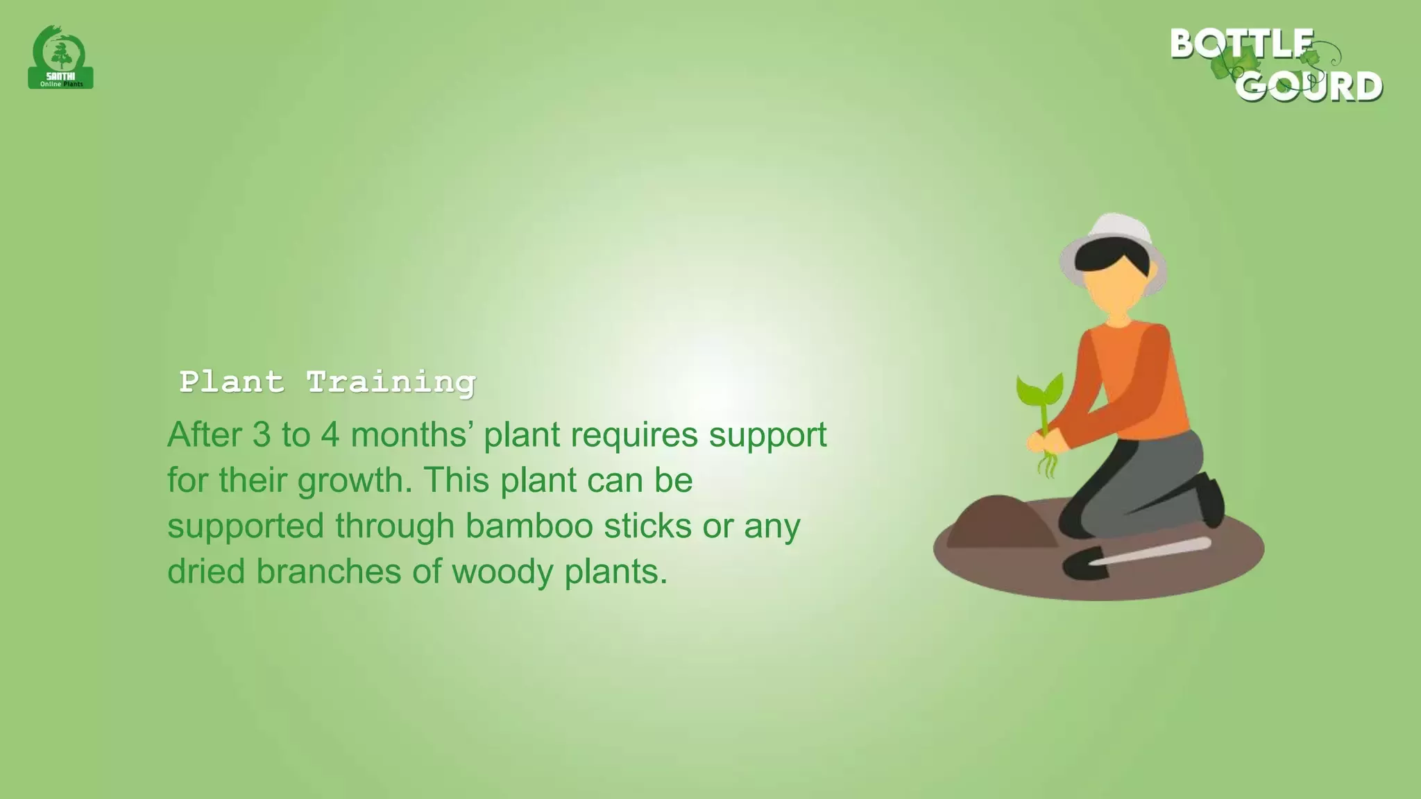 Slide 6