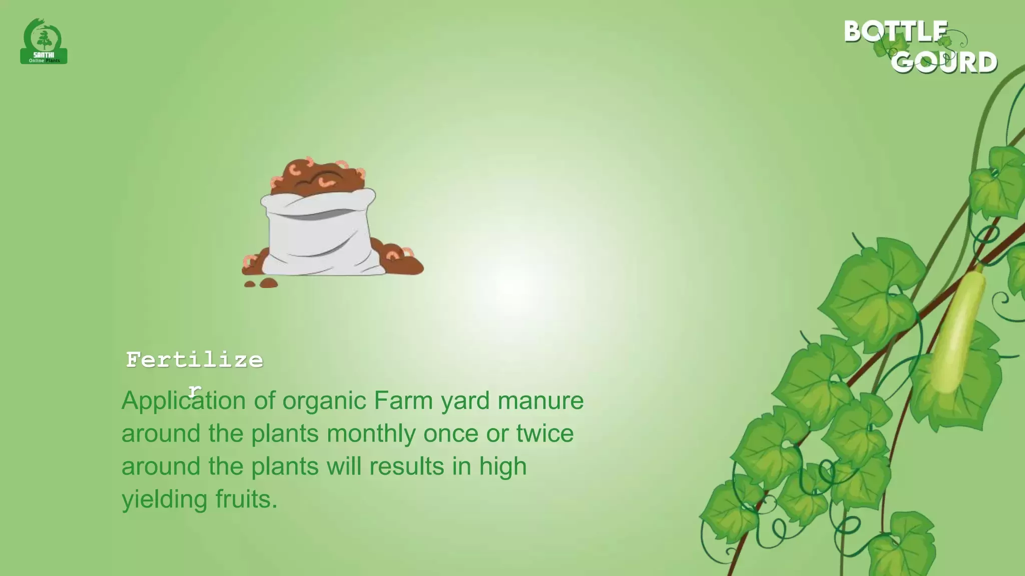 Slide 7