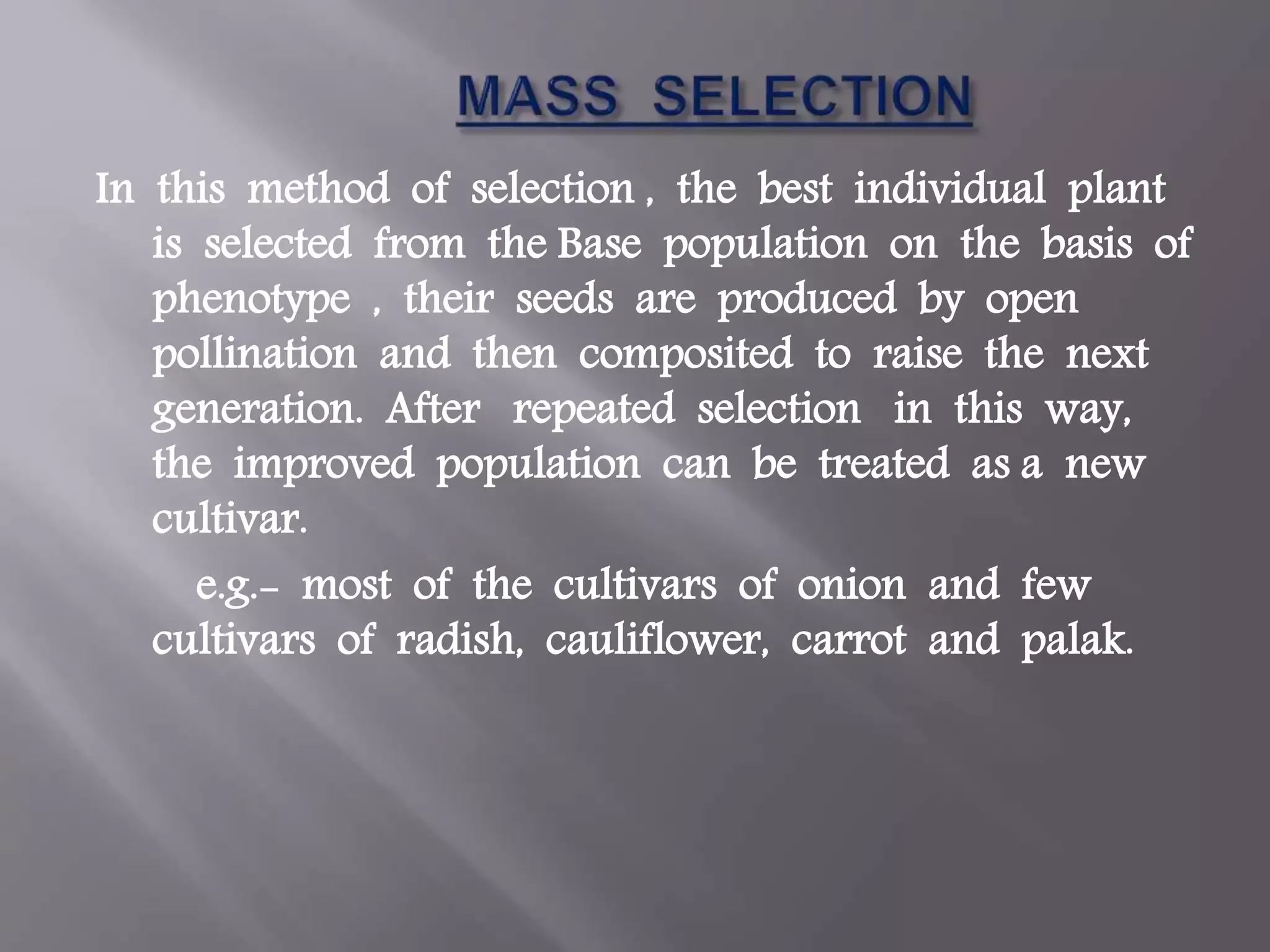 Slide 9