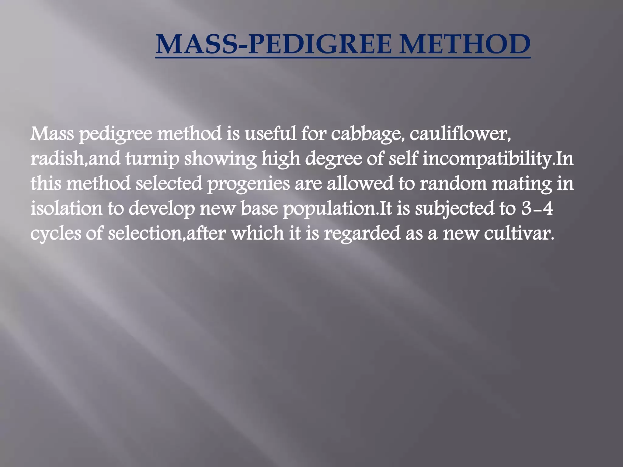 Slide 10