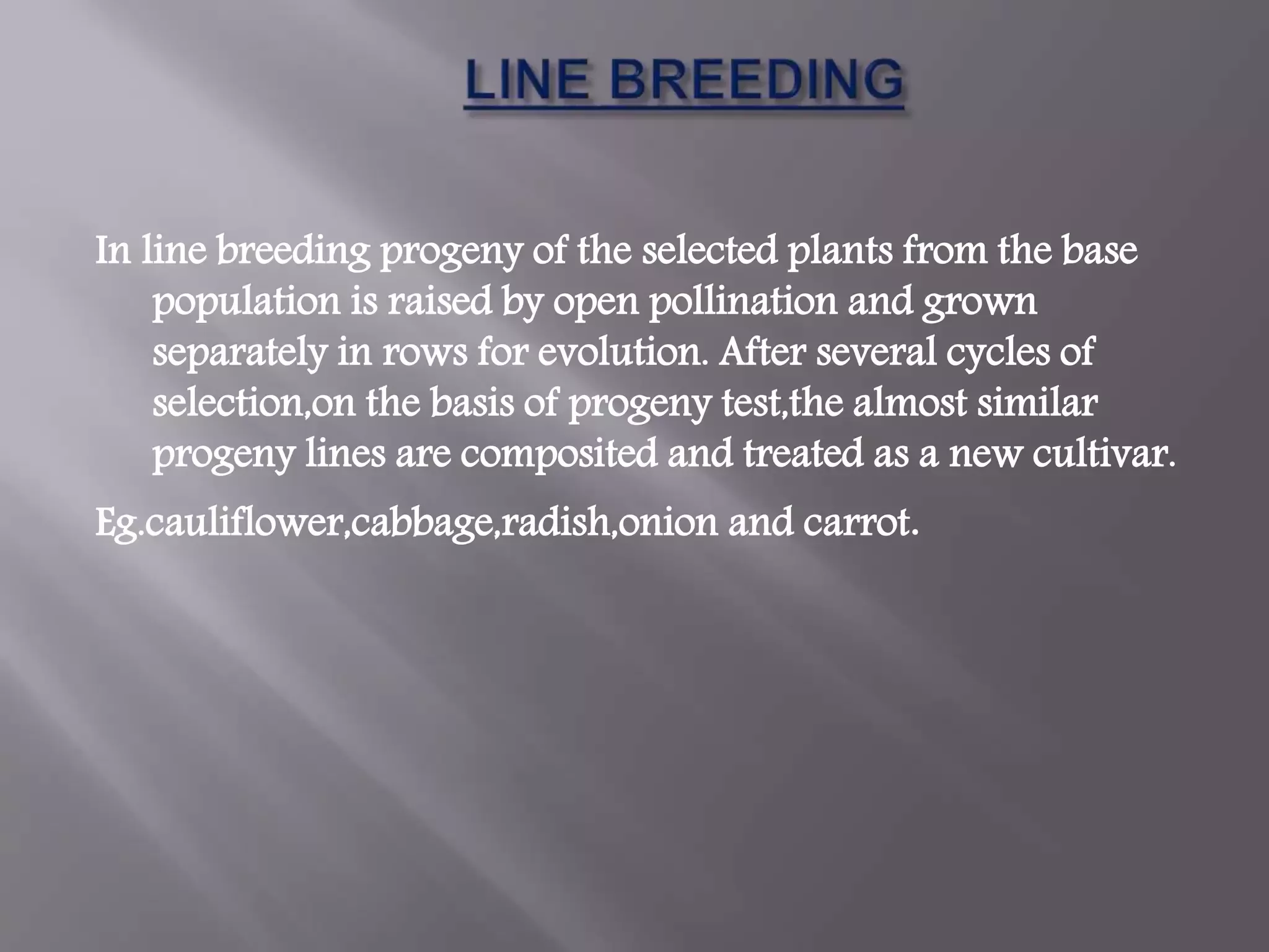 Slide 11