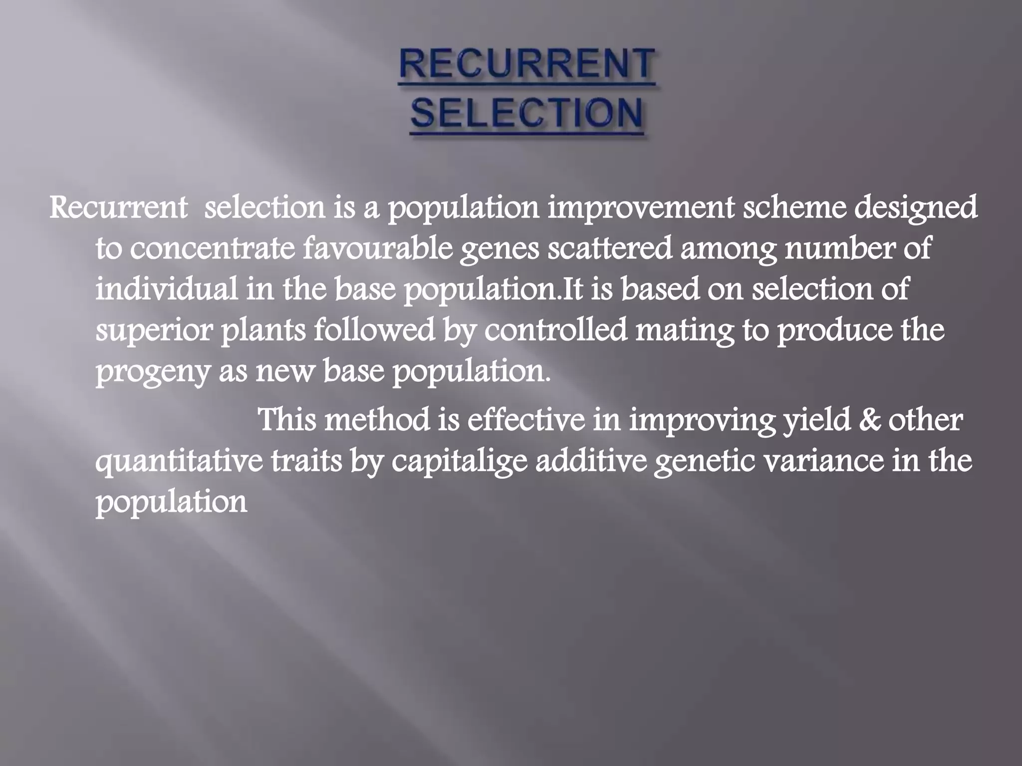 Slide 13
