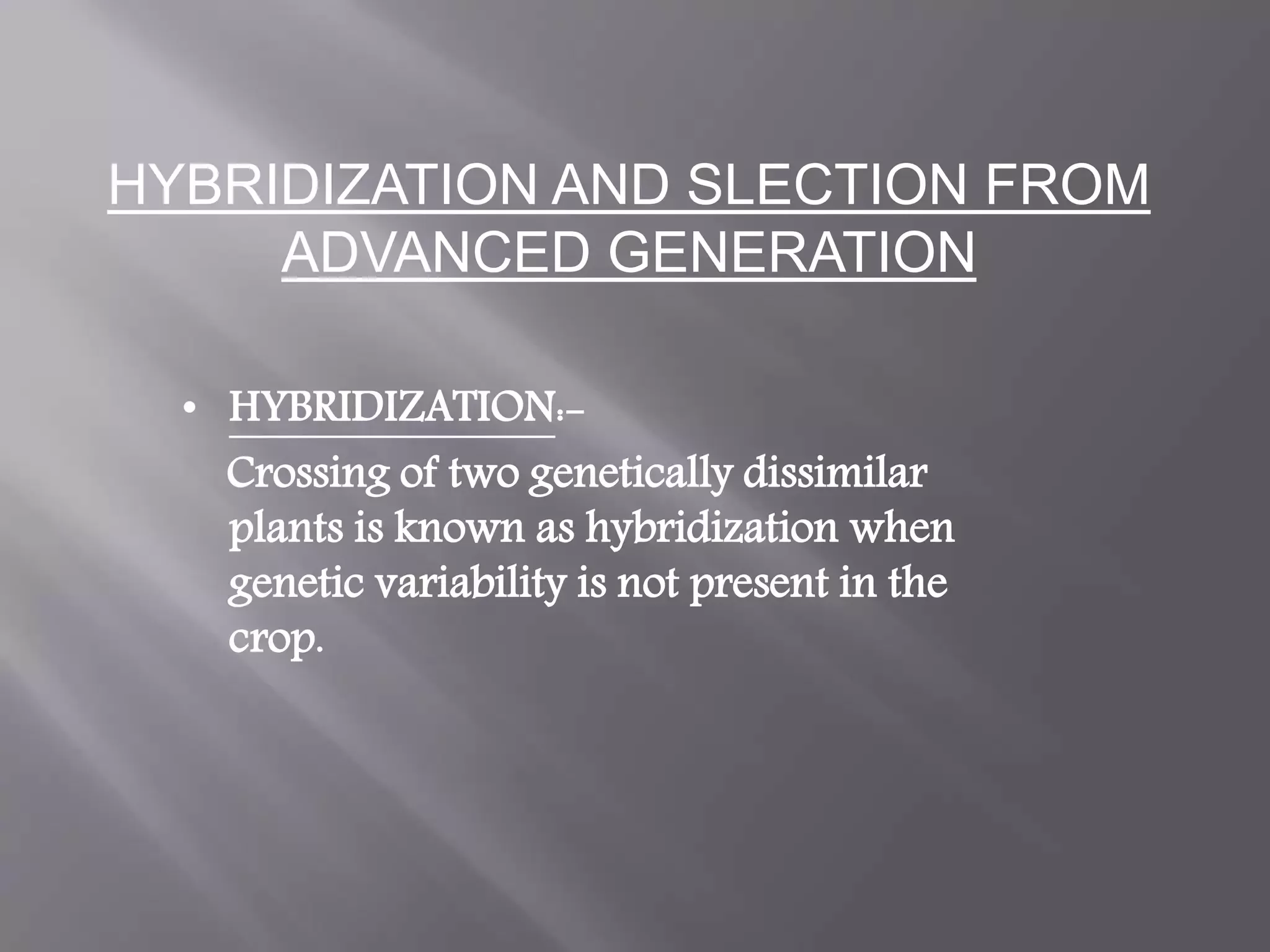 Slide 16