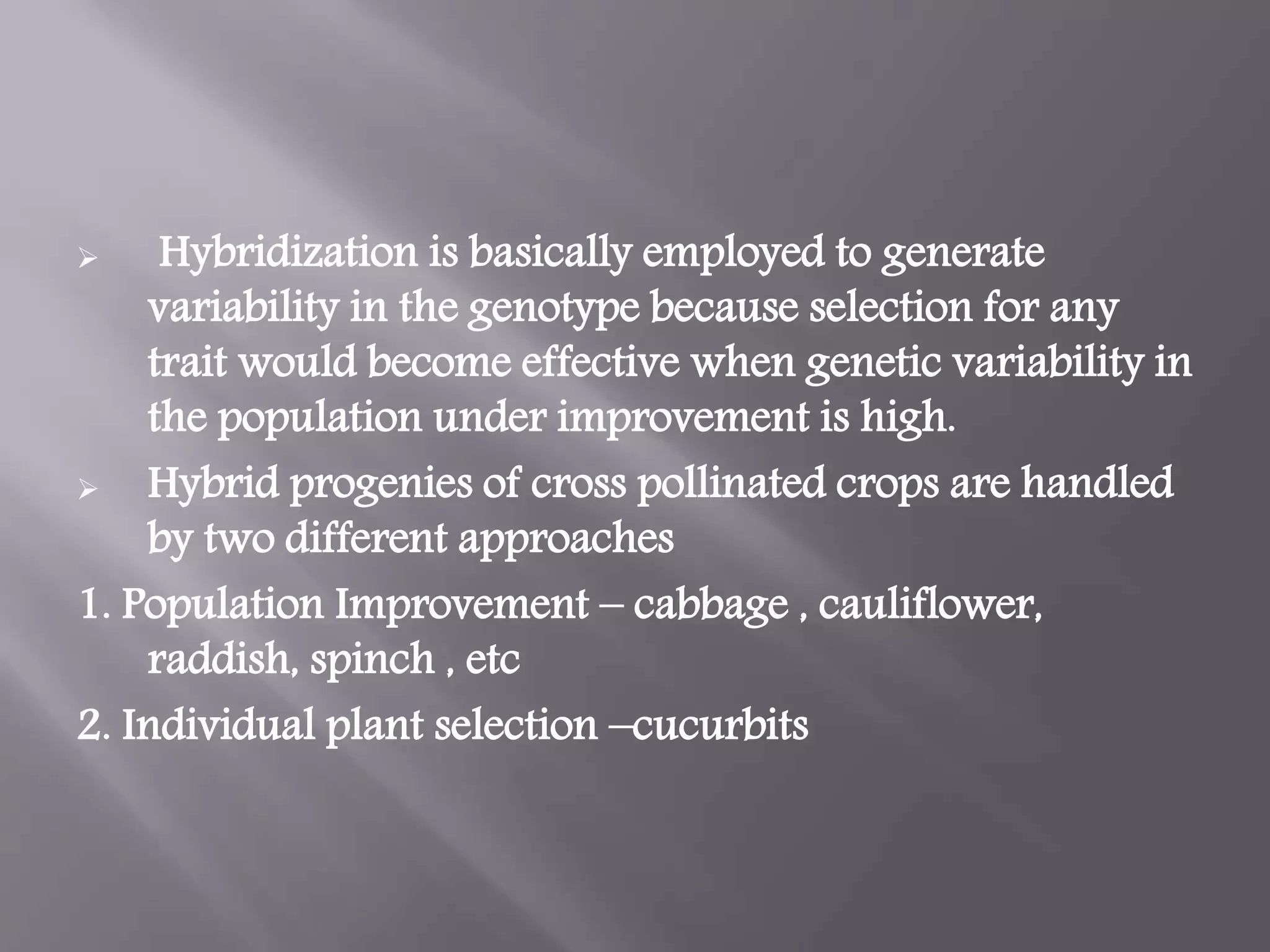 Slide 17