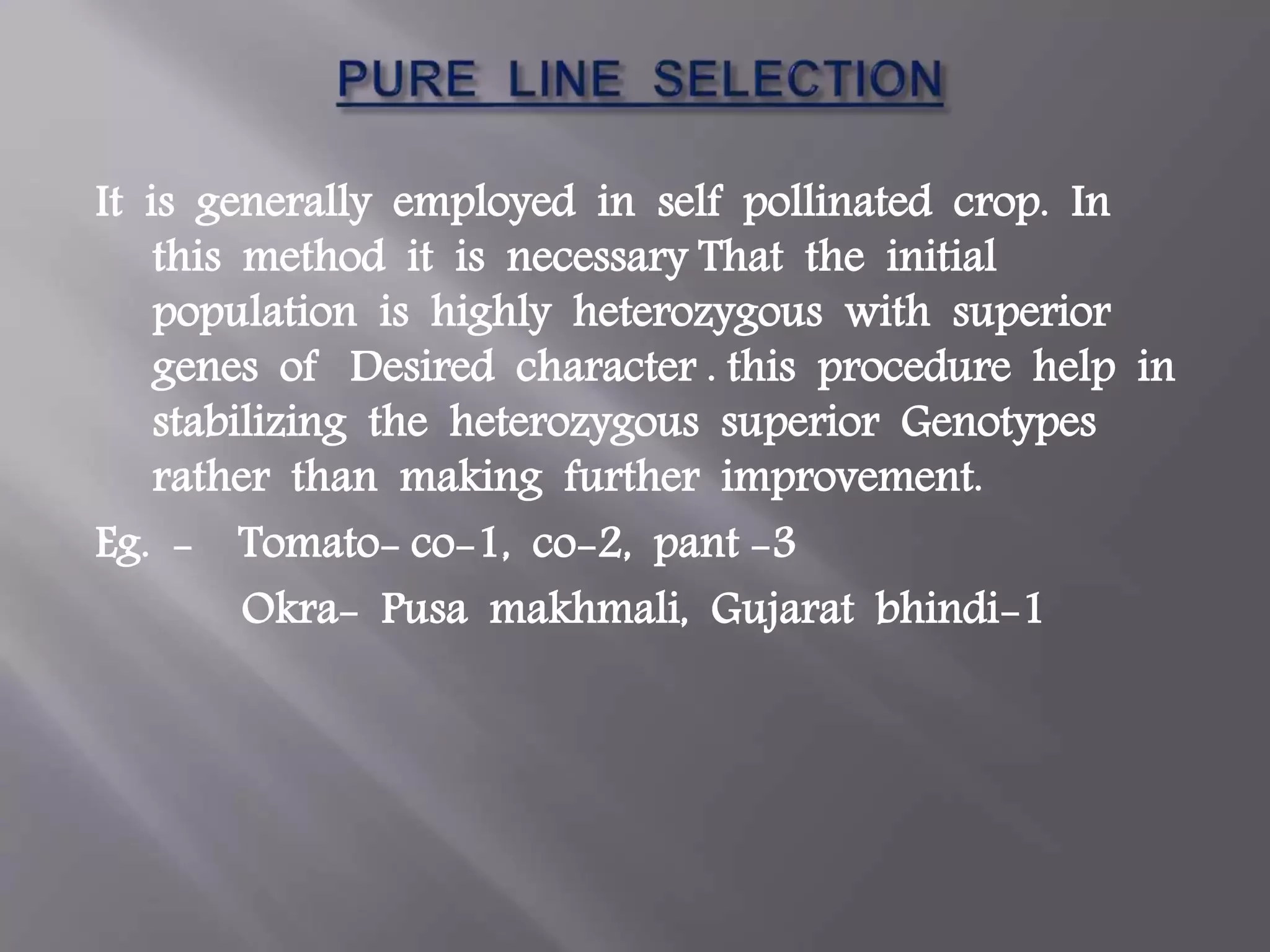 Slide 6