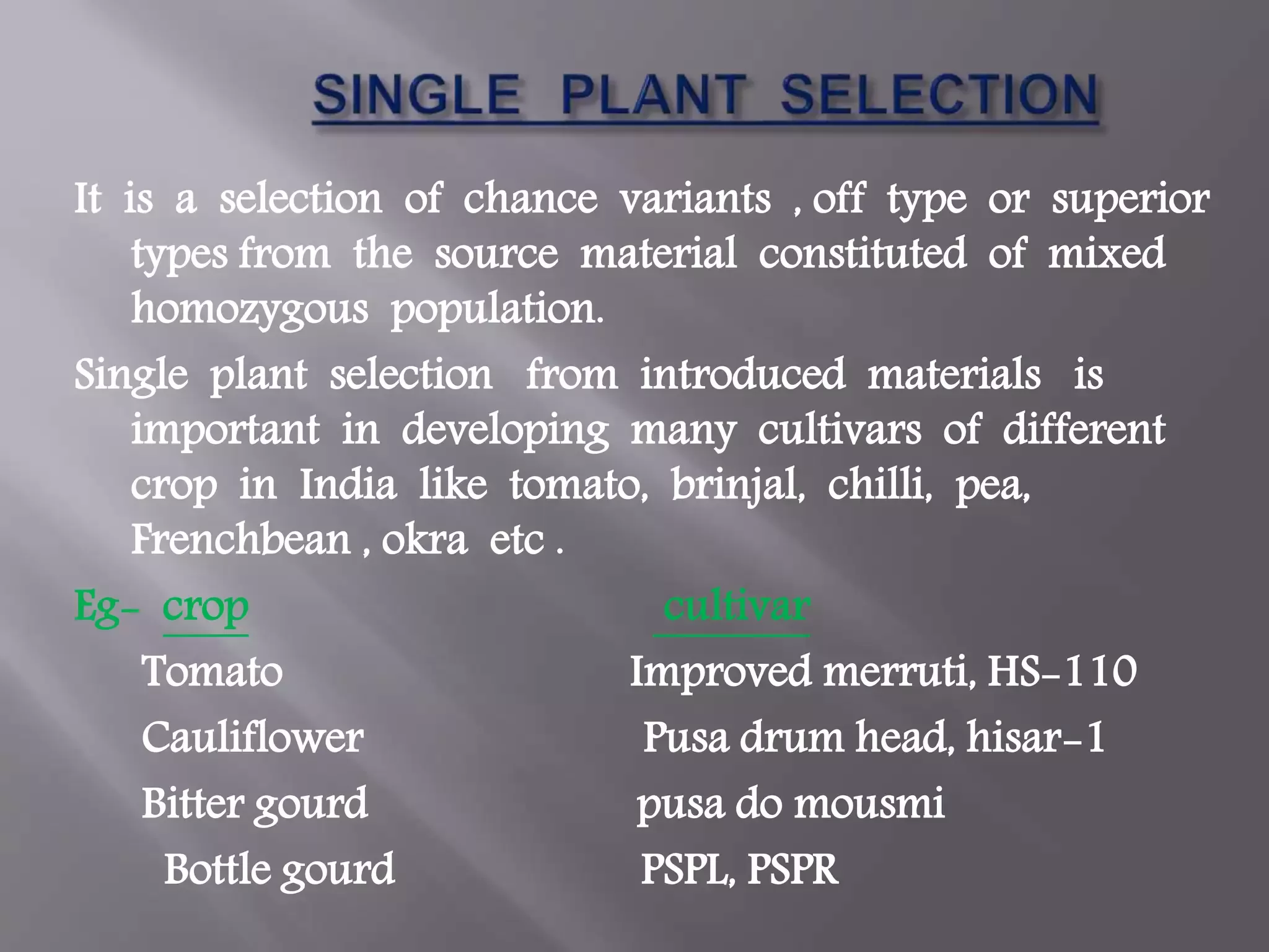 Slide 7