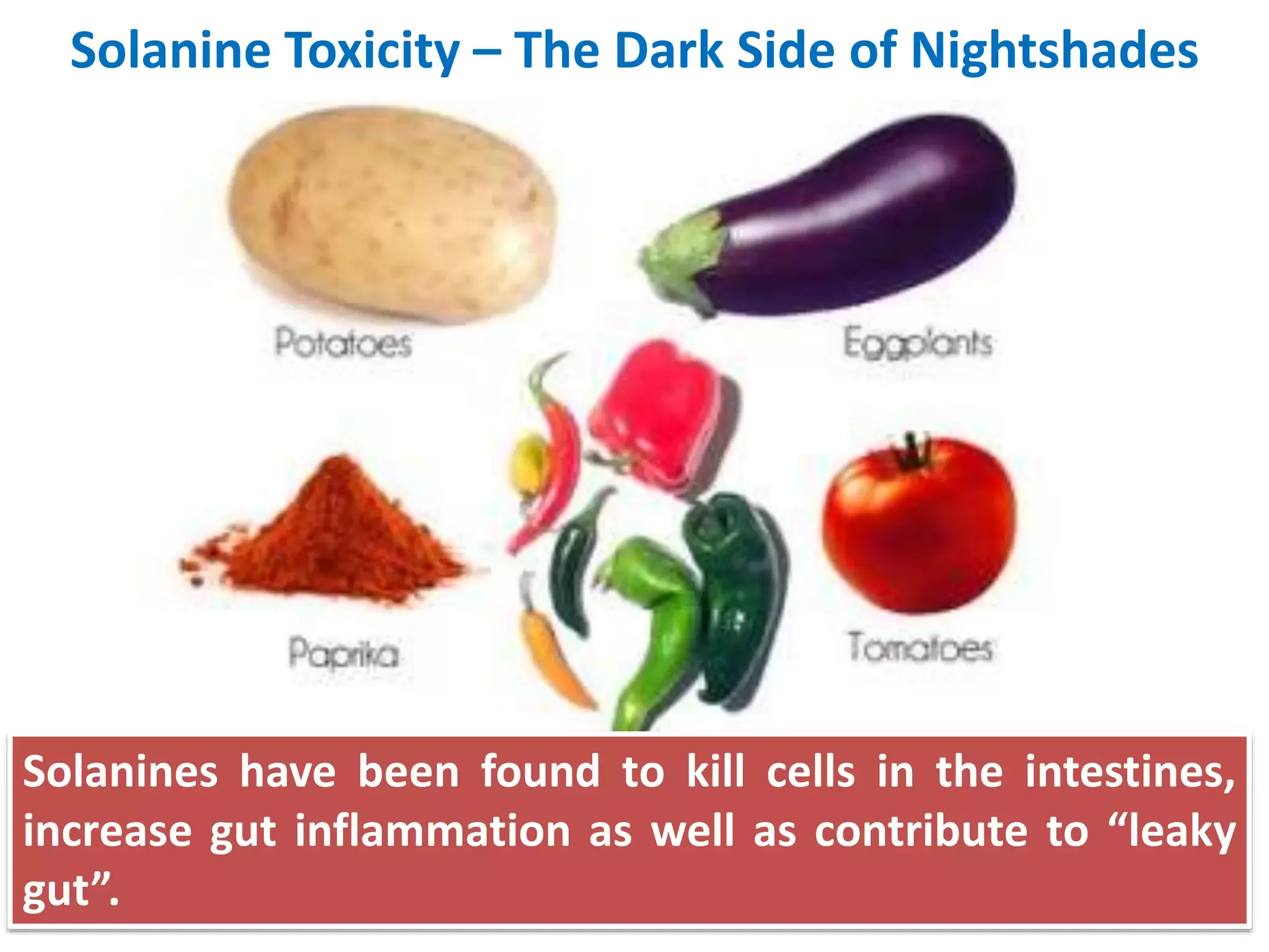 Slide 10