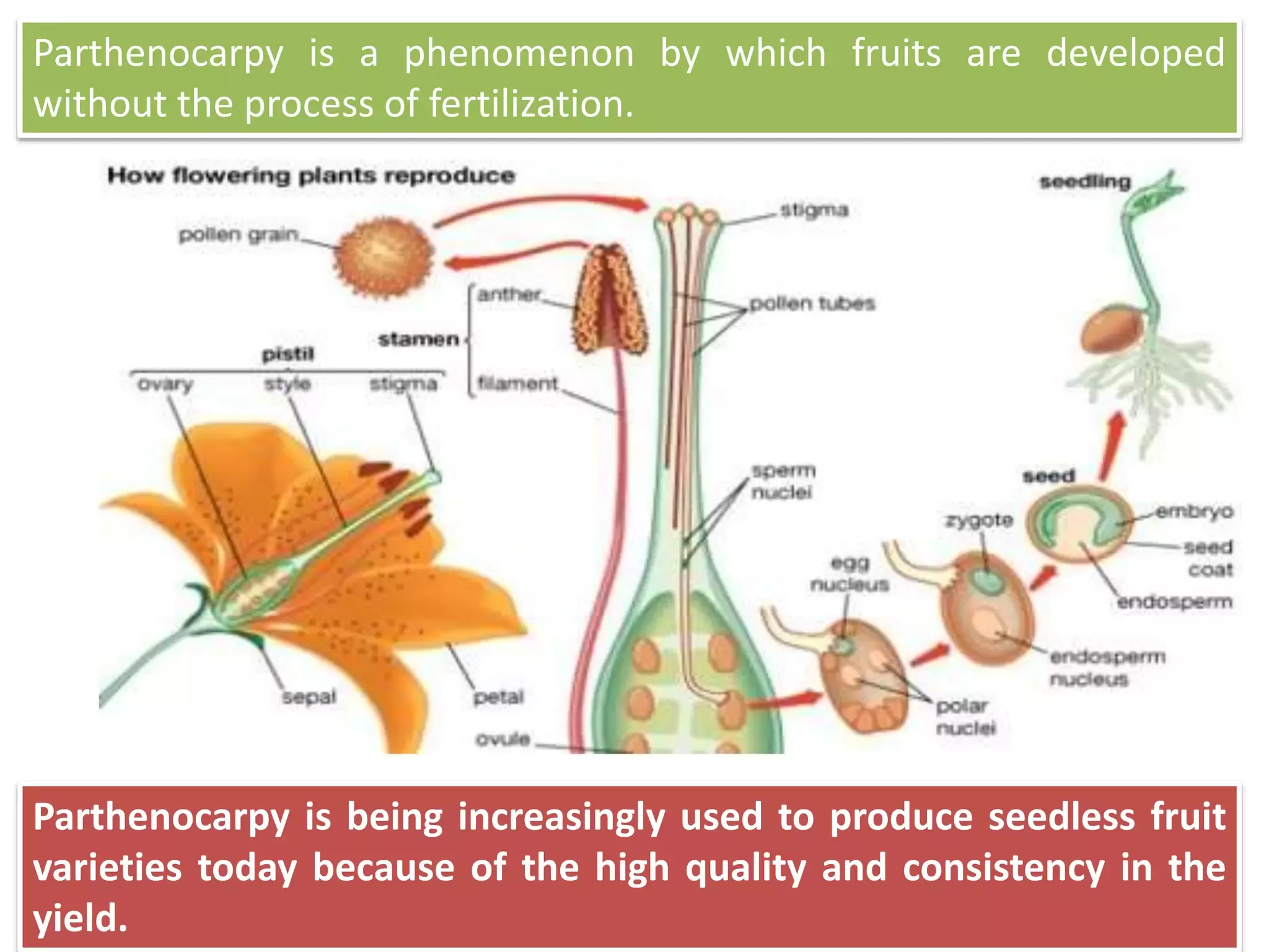 Slide 13