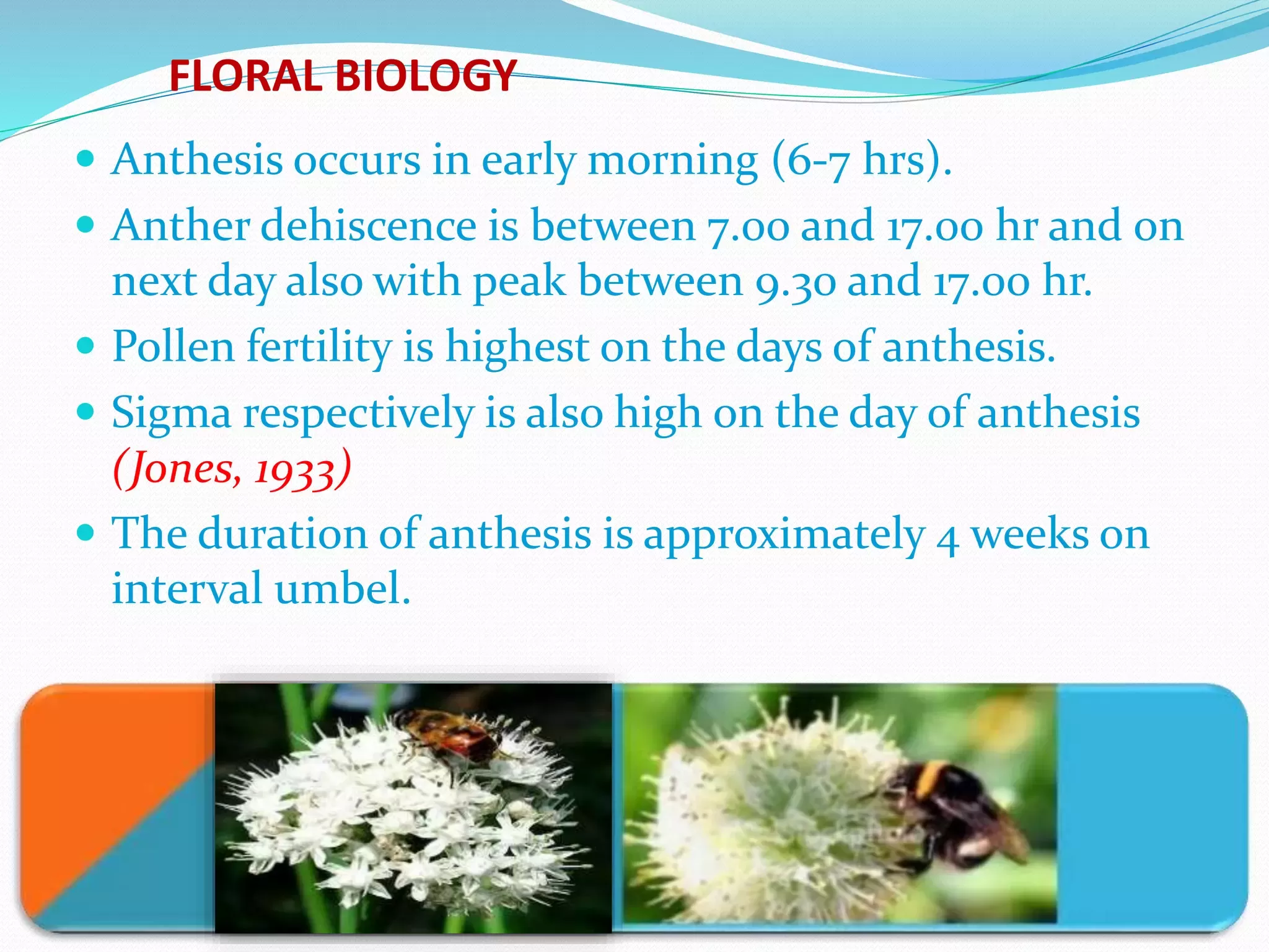 Slide 9